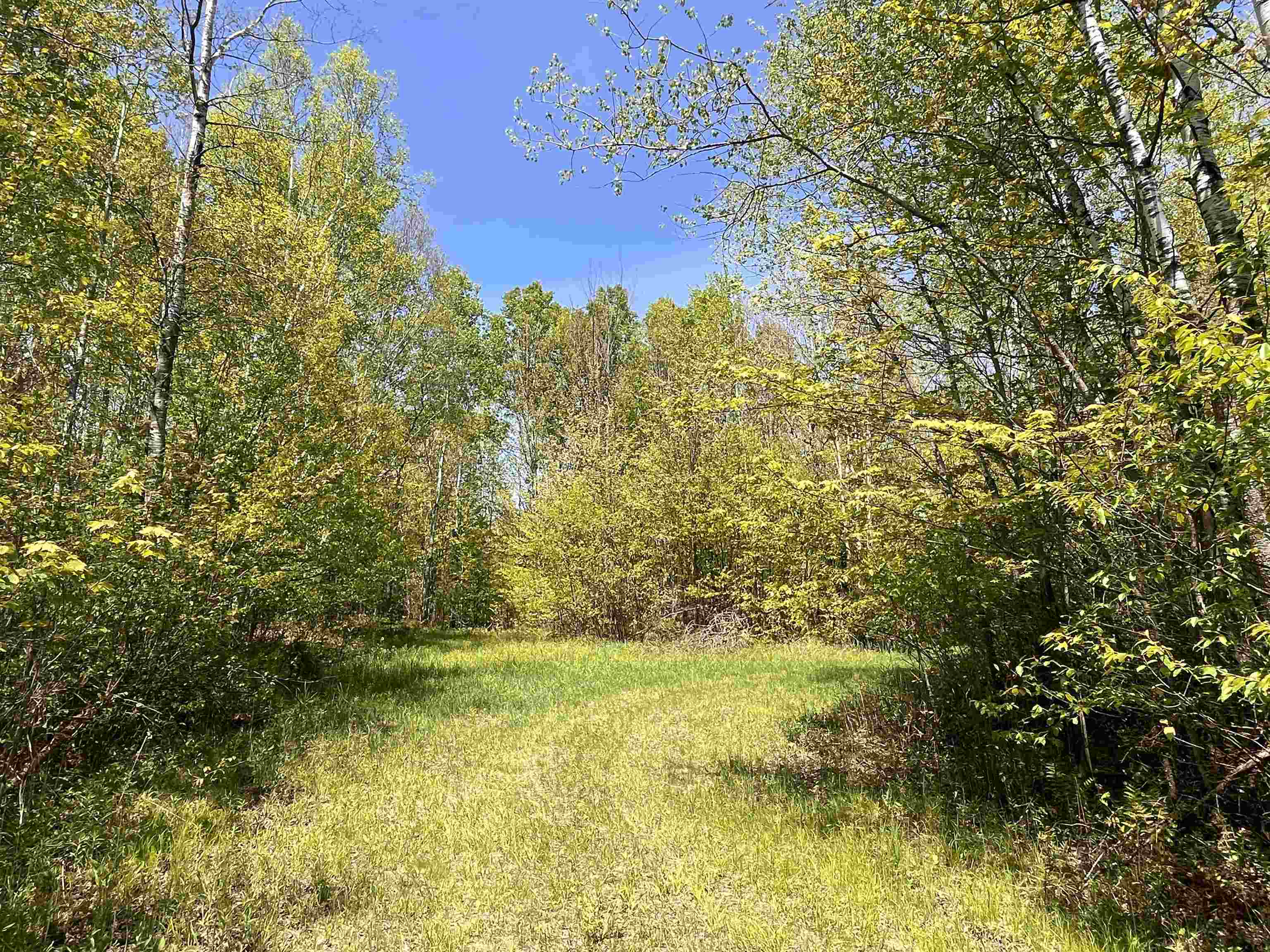 80 acres CLAUSEN ROAD, Prentice, Wisconsin 54556, ,Land,For Sale,80 acres CLAUSEN ROAD,22602269