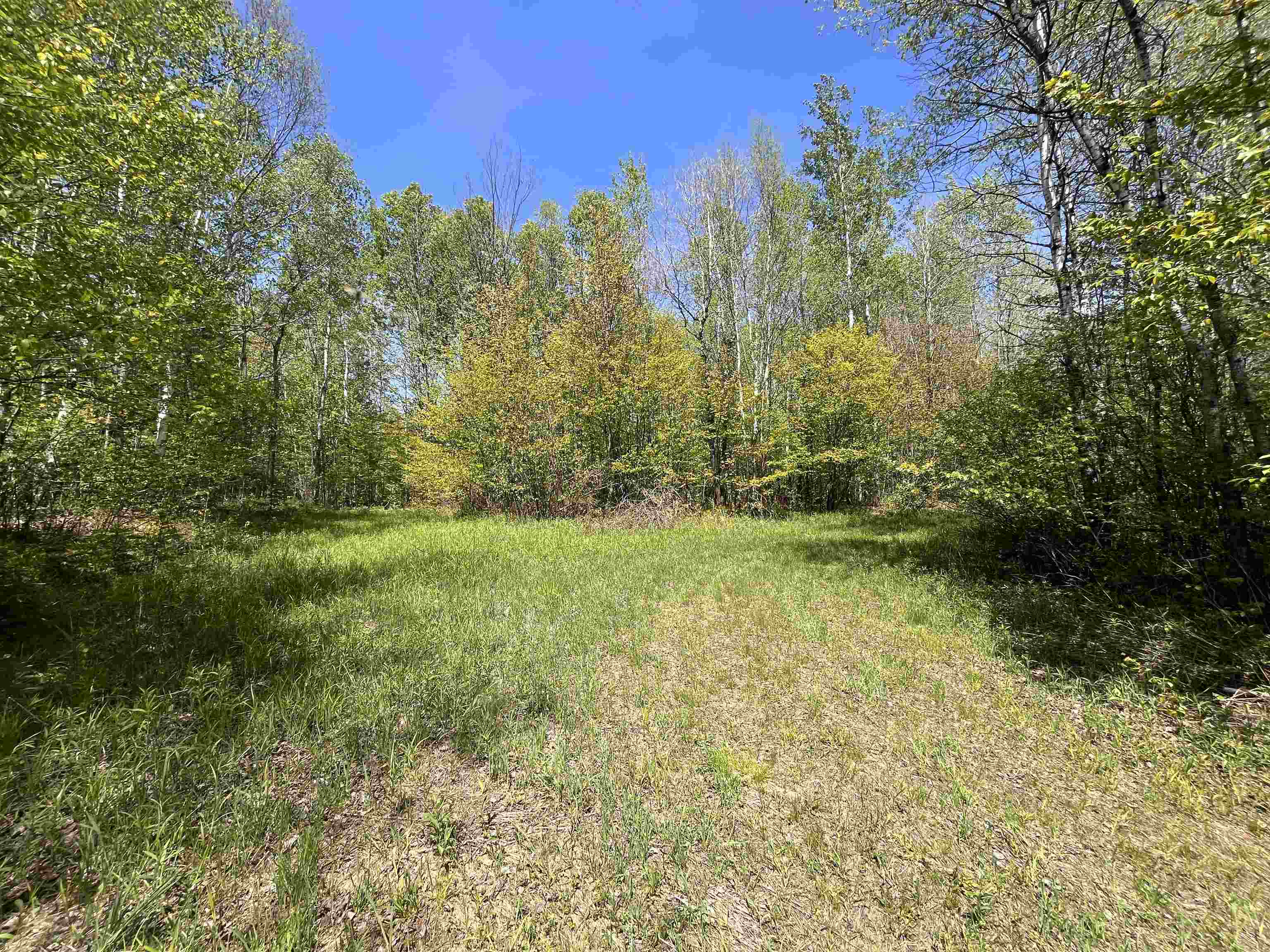 80 acres CLAUSEN ROAD, Prentice, Wisconsin 54556, ,Land,For Sale,80 acres CLAUSEN ROAD,22602269