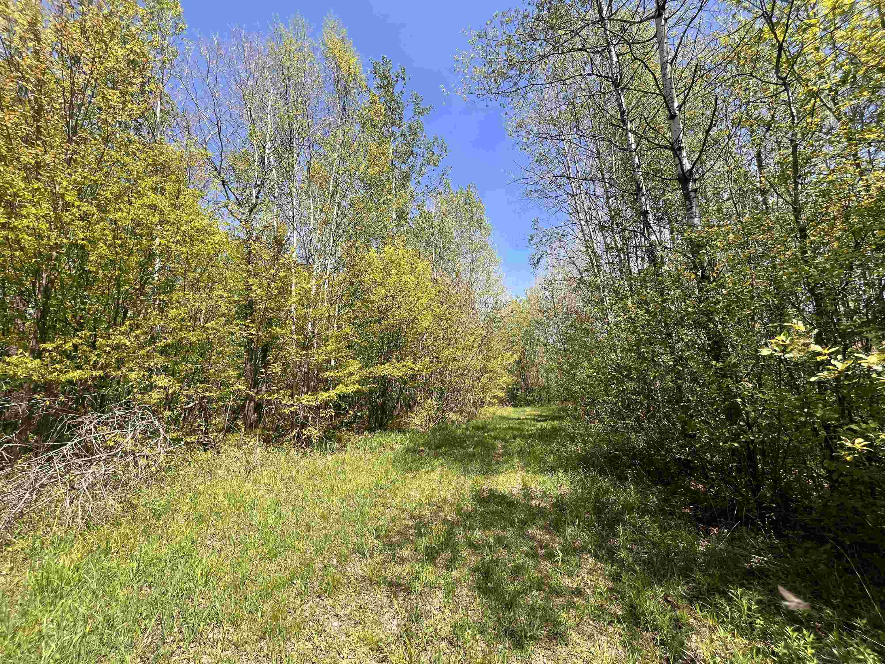 80 acres CLAUSEN ROAD, Prentice, Wisconsin 54556, ,Land,For Sale,80 acres CLAUSEN ROAD,22602269