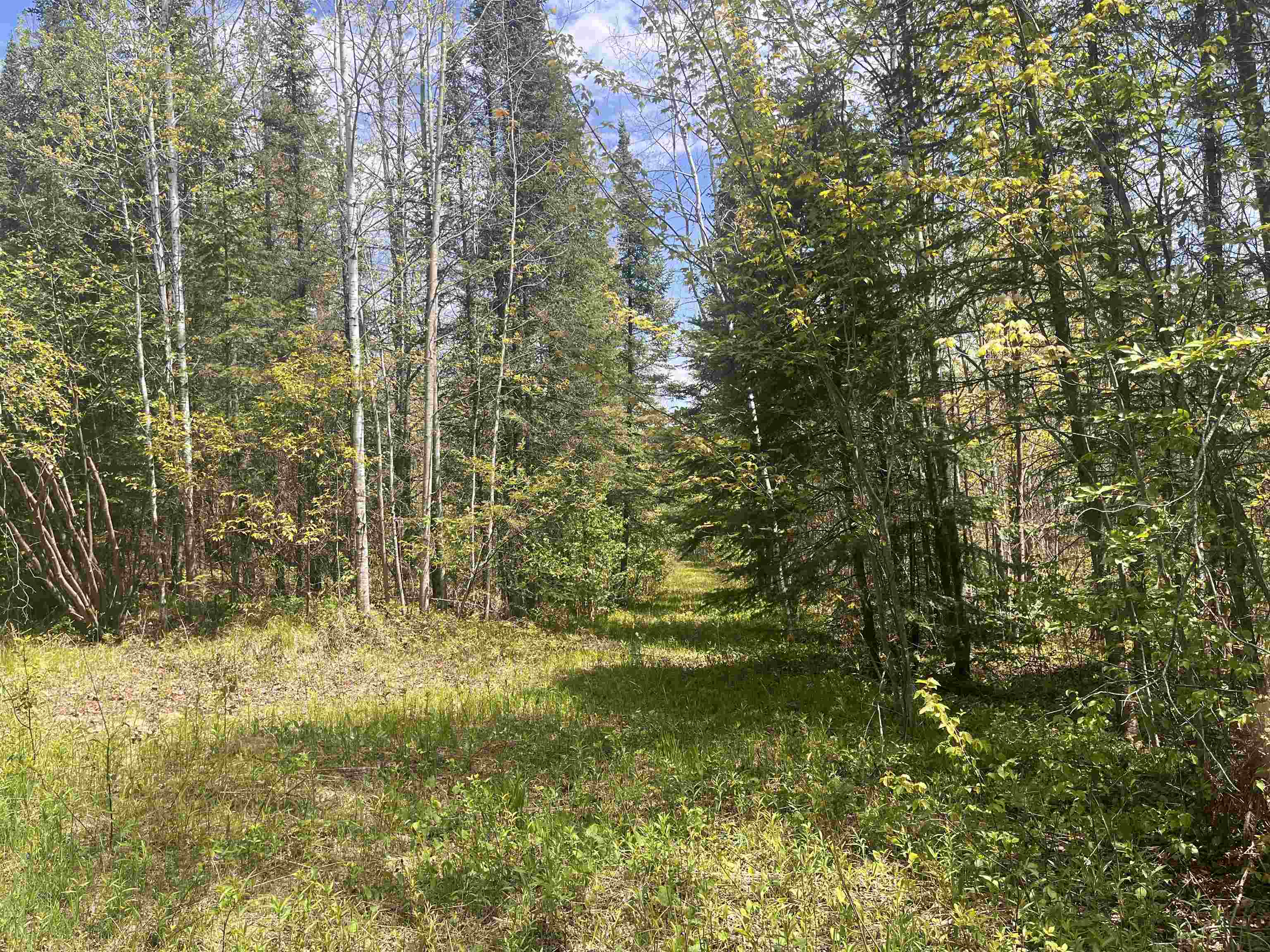 80 acres CLAUSEN ROAD, Prentice, Wisconsin 54556, ,Land,For Sale,80 acres CLAUSEN ROAD,22602269
