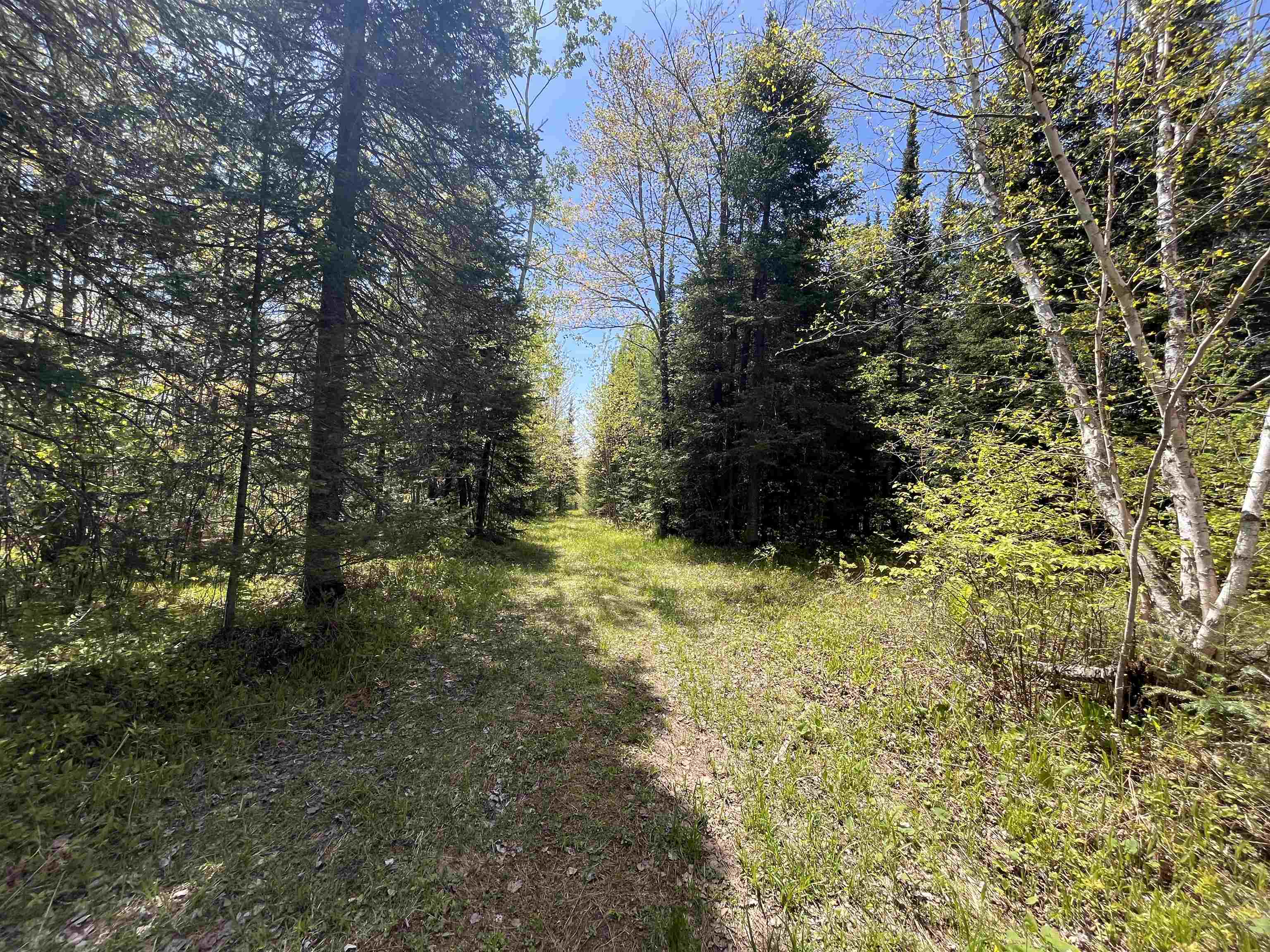 80 acres CLAUSEN ROAD, Prentice, Wisconsin 54556, ,Land,For Sale,80 acres CLAUSEN ROAD,22602269