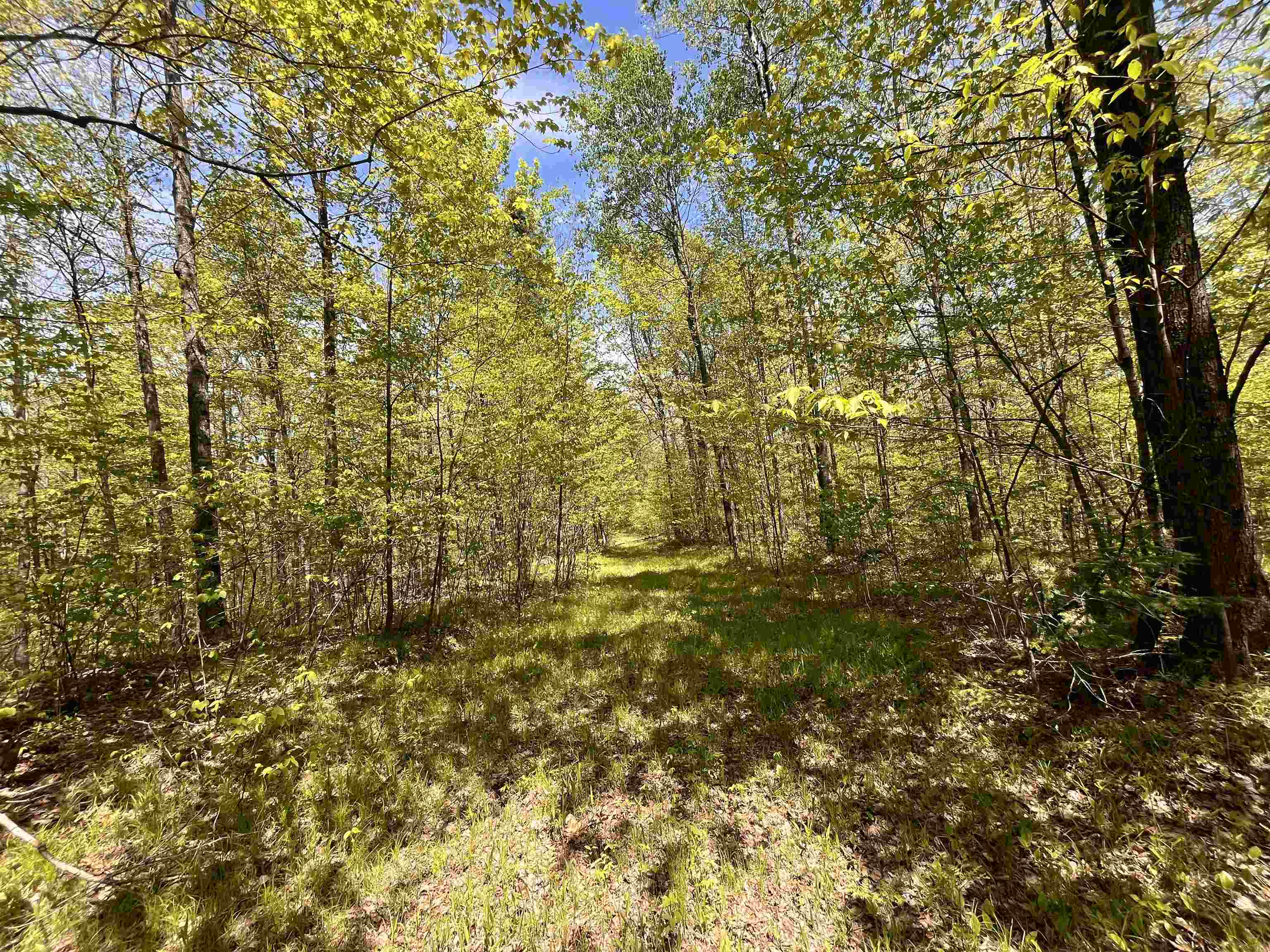 80 acres CLAUSEN ROAD, Prentice, Wisconsin 54556, ,Land,For Sale,80 acres CLAUSEN ROAD,22602269