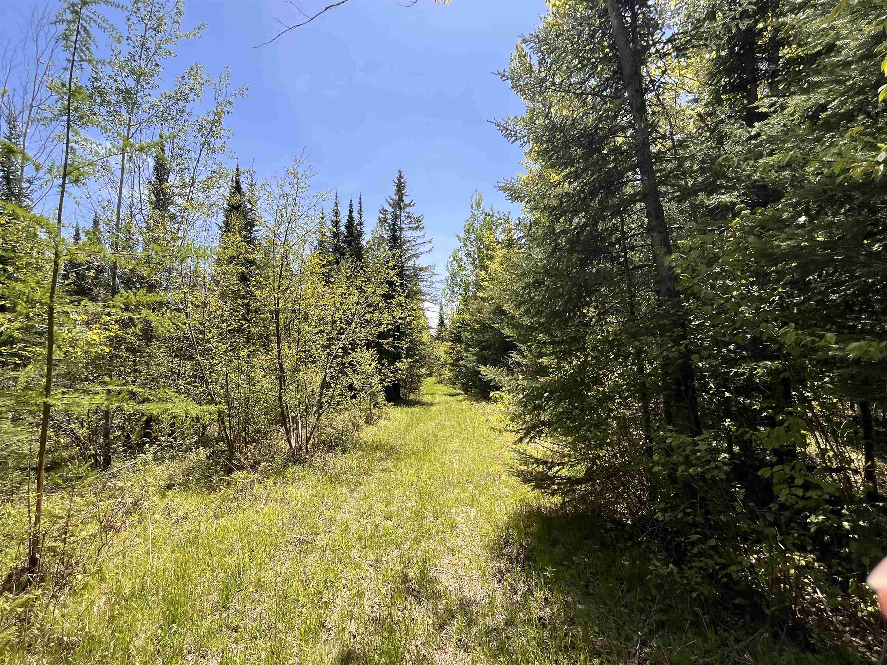 80 acres CLAUSEN ROAD, Prentice, Wisconsin 54556, ,Land,For Sale,80 acres CLAUSEN ROAD,22602269