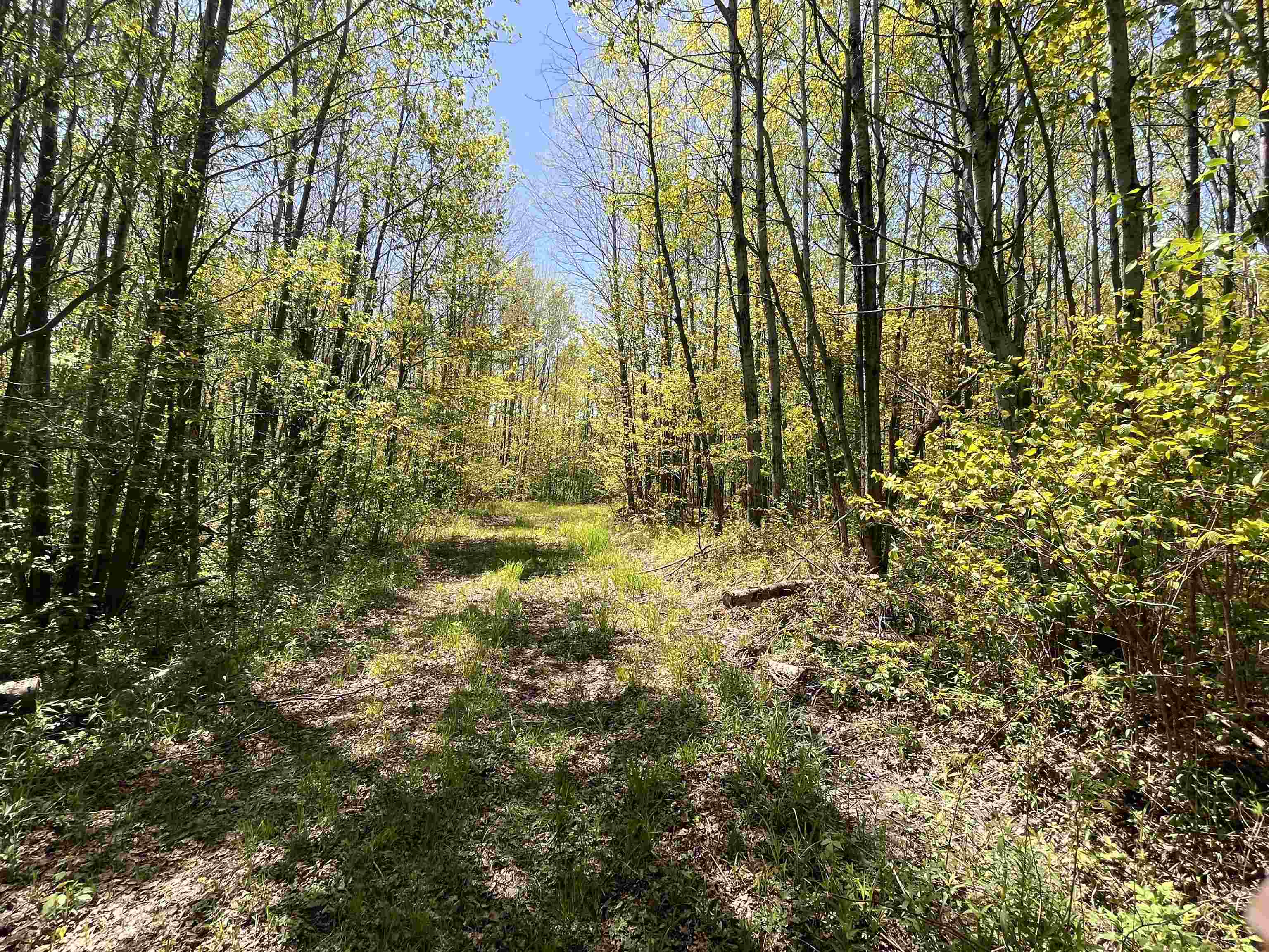 80 acres CLAUSEN ROAD, Prentice, Wisconsin 54556, ,Land,For Sale,80 acres CLAUSEN ROAD,22602269