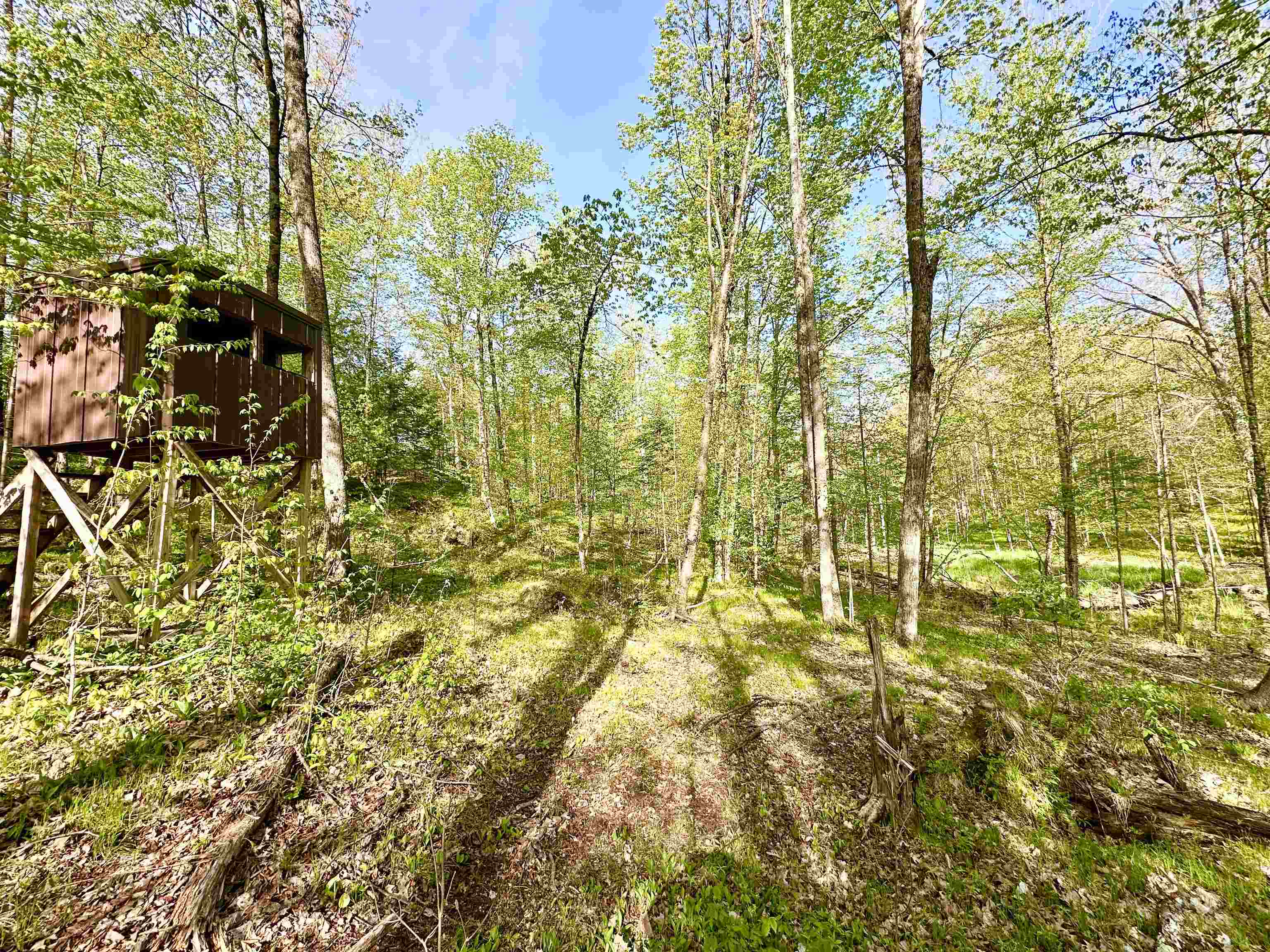 W10680 COUNTY ROAD J, Deerbrook, Wisconsin 54424, 3 Bedrooms Bedrooms, ,2 BathroomsBathrooms,Residential,For Sale,W10680 COUNTY ROAD J,22602279
