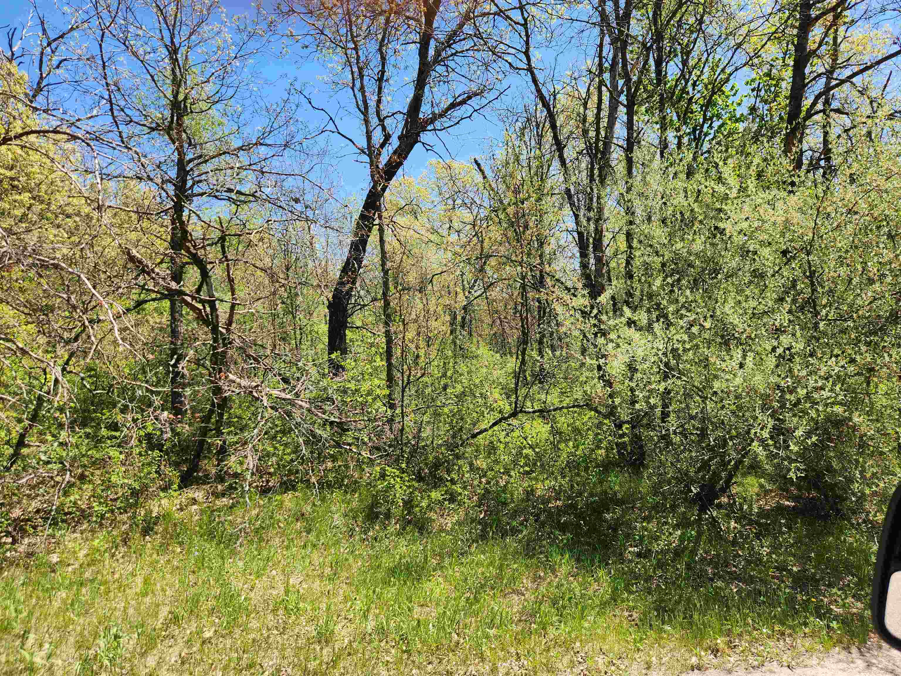 2914 OAK AVENUE, Grand Marsh, Wisconsin 53936, ,Land,For Sale,2914 OAK AVENUE,22602281