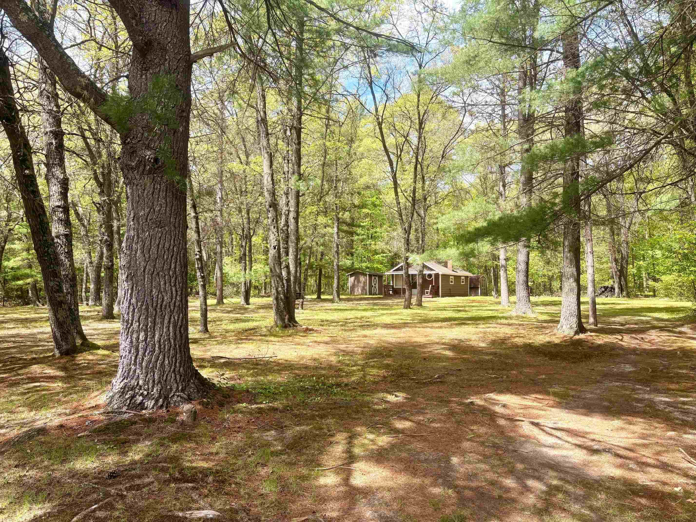 N8784 BERNYCE LANE, Willard, Wisconsin 54493, 1 Bedroom Bedrooms, ,Residential,For Sale,N8784 BERNYCE LANE,22602282