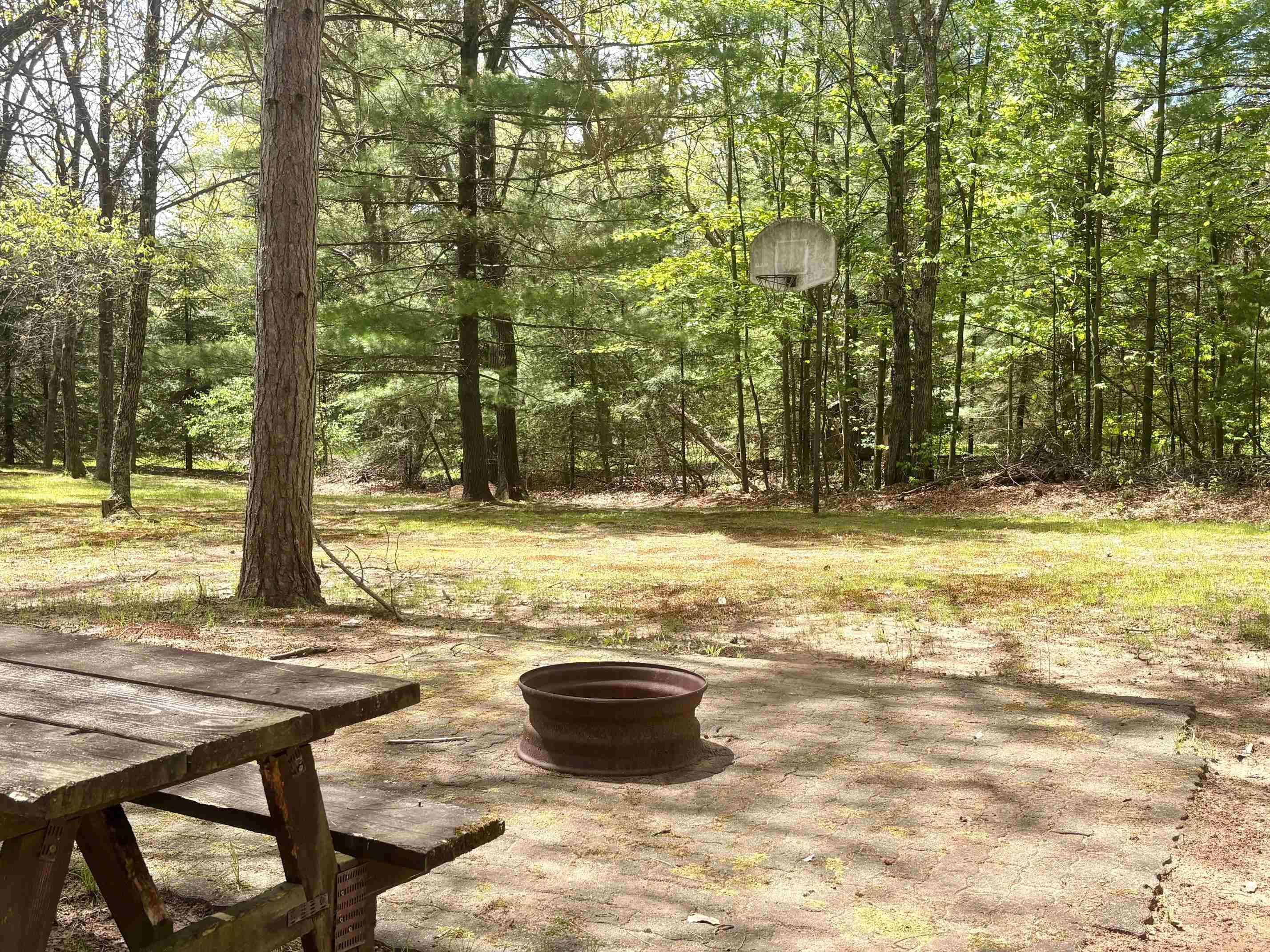 N8784 BERNYCE LANE, Willard, Wisconsin 54493, 1 Bedroom Bedrooms, ,Residential,For Sale,N8784 BERNYCE LANE,22602282