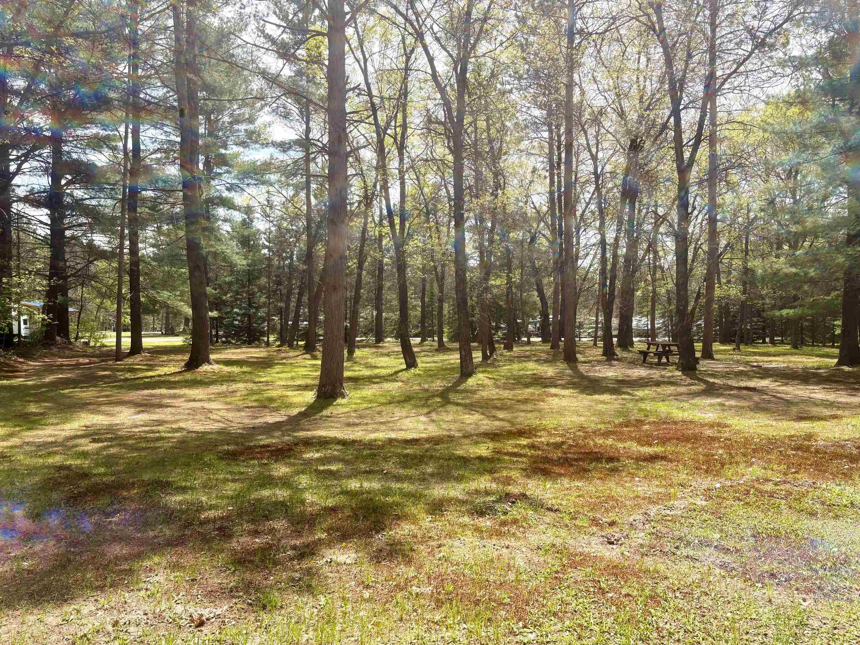 N8784 BERNYCE LANE, Willard, Wisconsin 54493, 1 Bedroom Bedrooms, ,Residential,For Sale,N8784 BERNYCE LANE,22602282
