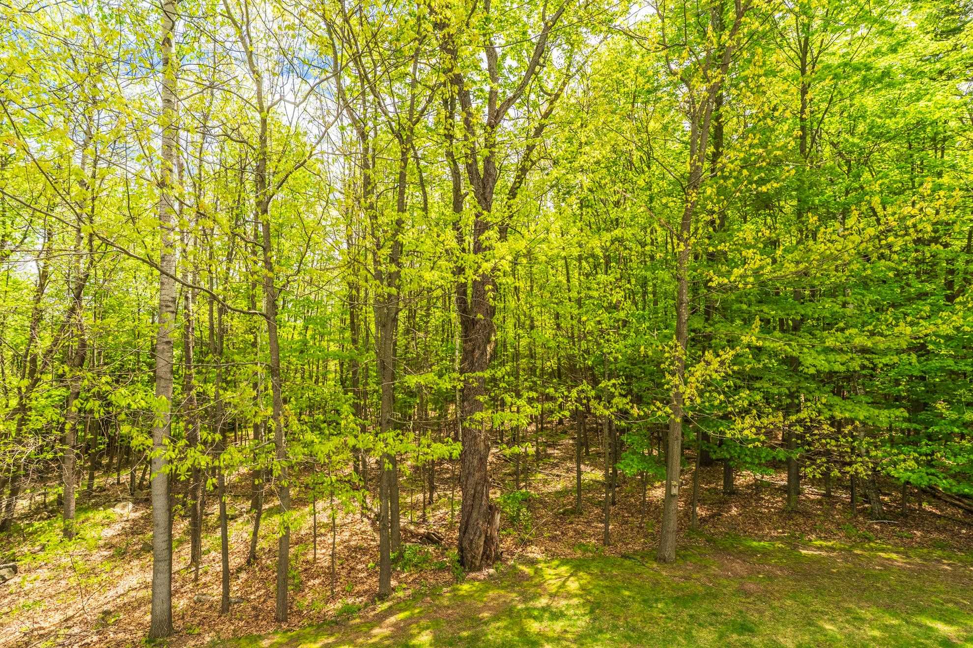 405 RIMROCK ROAD, Wausau, Wisconsin 54401, 6 Bedrooms Bedrooms, ,3 BathroomsBathrooms,Residential,For Sale,405 RIMROCK ROAD,22602284