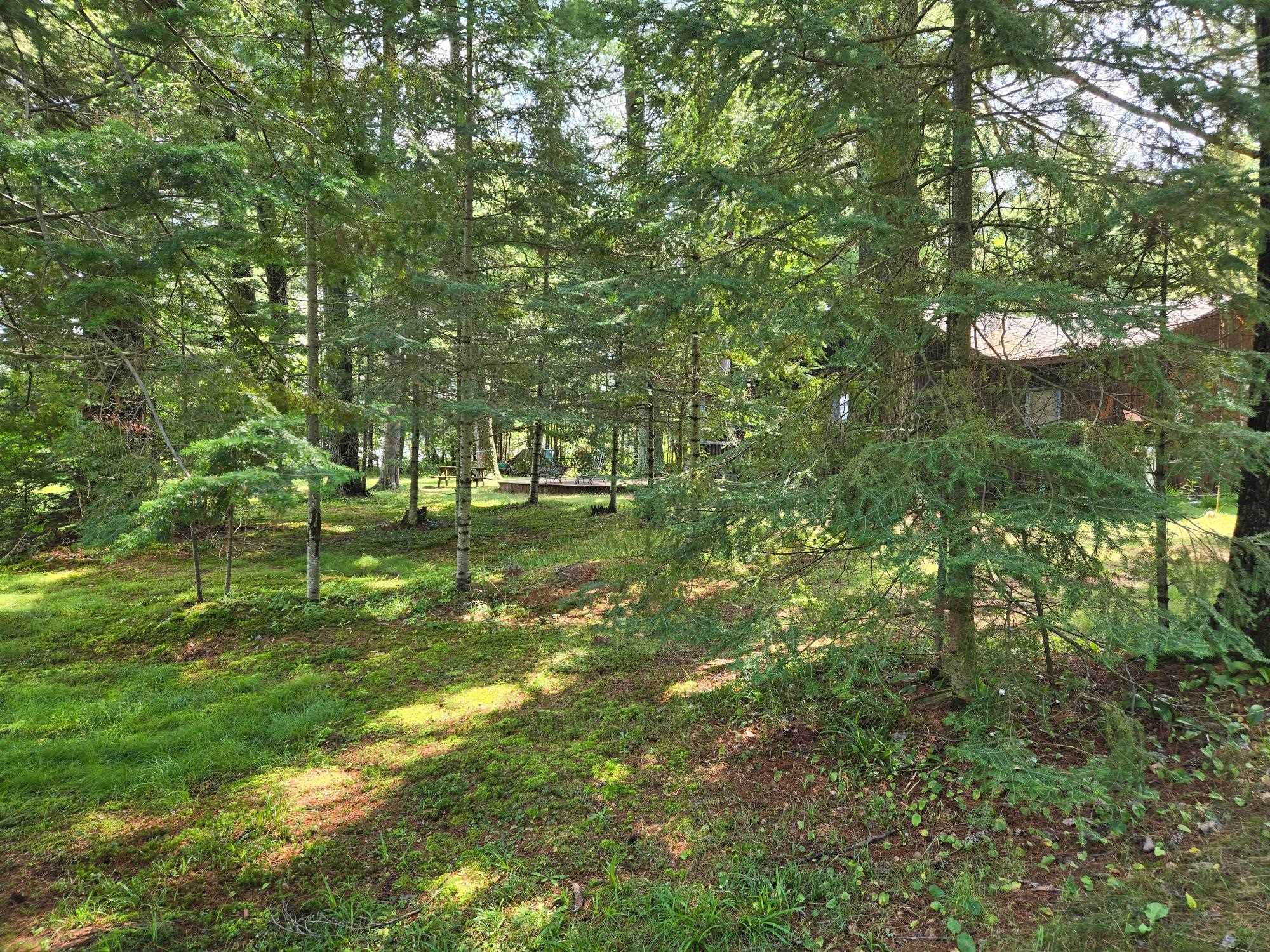 N10312 KNAPINSKI DRIVE, Tomahawk, Wisconsin 54487, 2 Bedrooms Bedrooms, ,1 BathroomBathrooms,Residential,For Sale,N10312 KNAPINSKI DRIVE,22602289