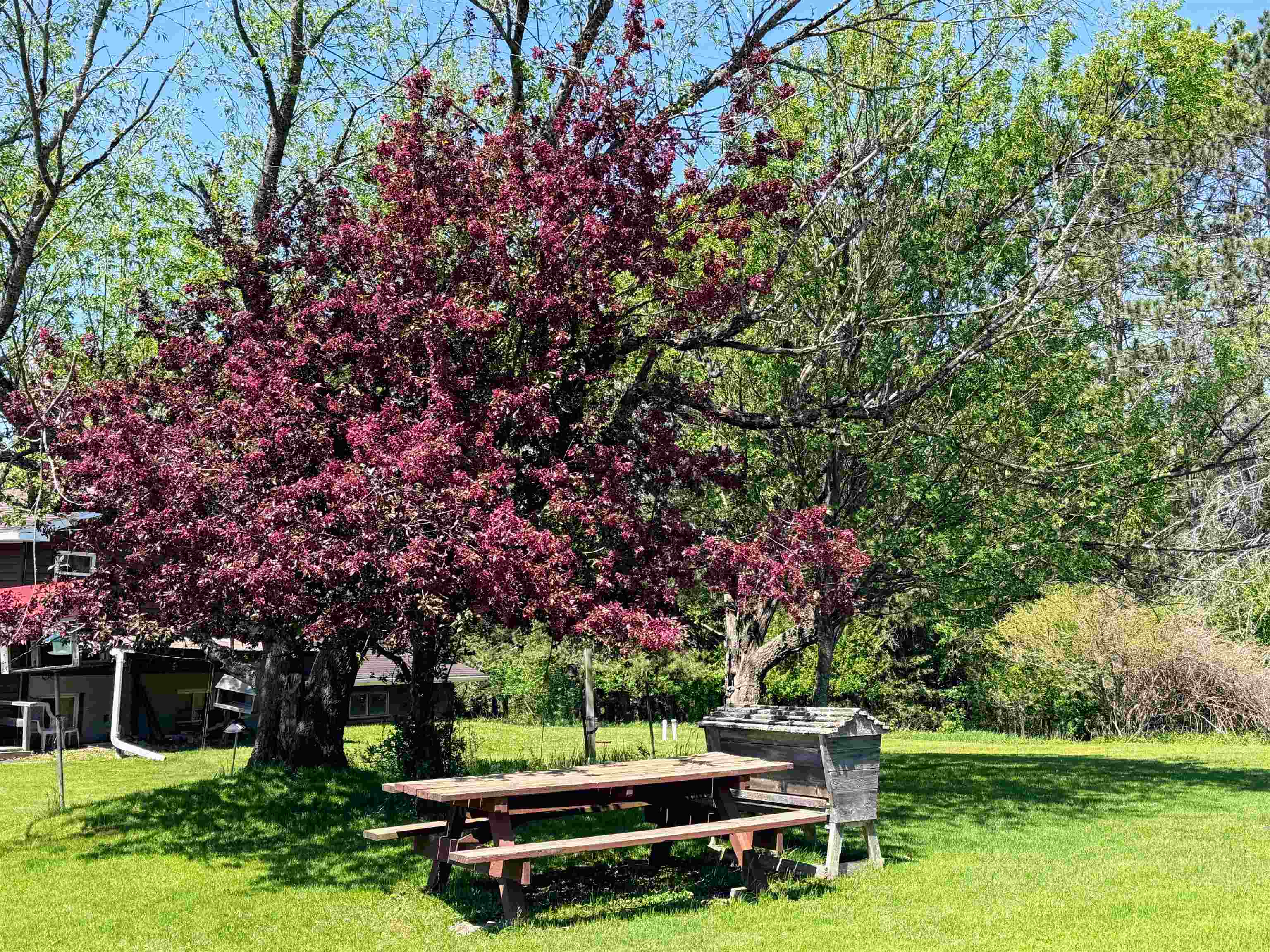 16340 N STATE HIGHWAY 13, Park Falls, Wisconsin 54552, 3 Bedrooms Bedrooms, ,1 BathroomBathrooms,Residential,For Sale,16340 N STATE HIGHWAY 13,22602302