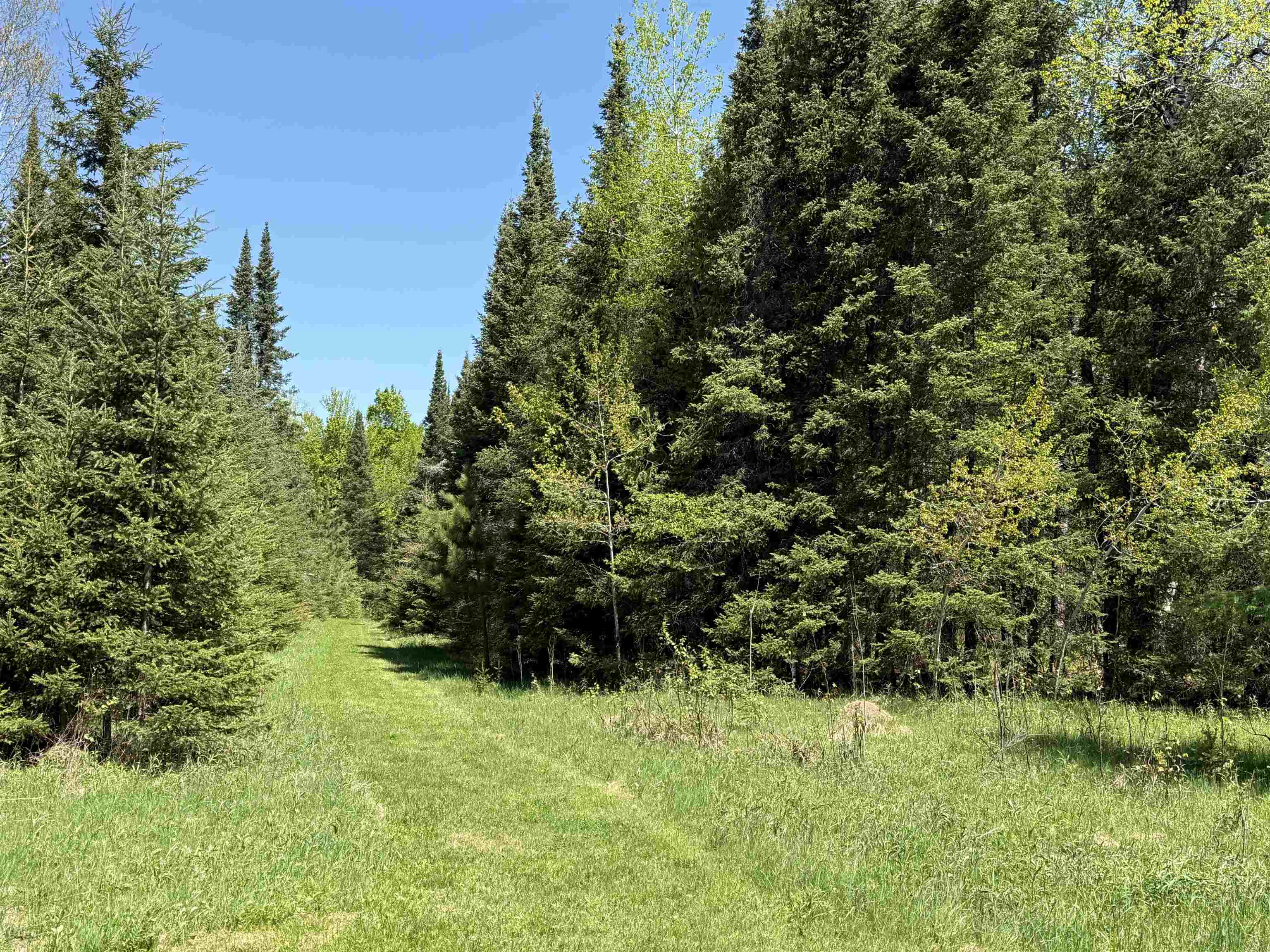 16340 N STATE HIGHWAY 13, Park Falls, Wisconsin 54552, 3 Bedrooms Bedrooms, ,1 BathroomBathrooms,Residential,For Sale,16340 N STATE HIGHWAY 13,22602302