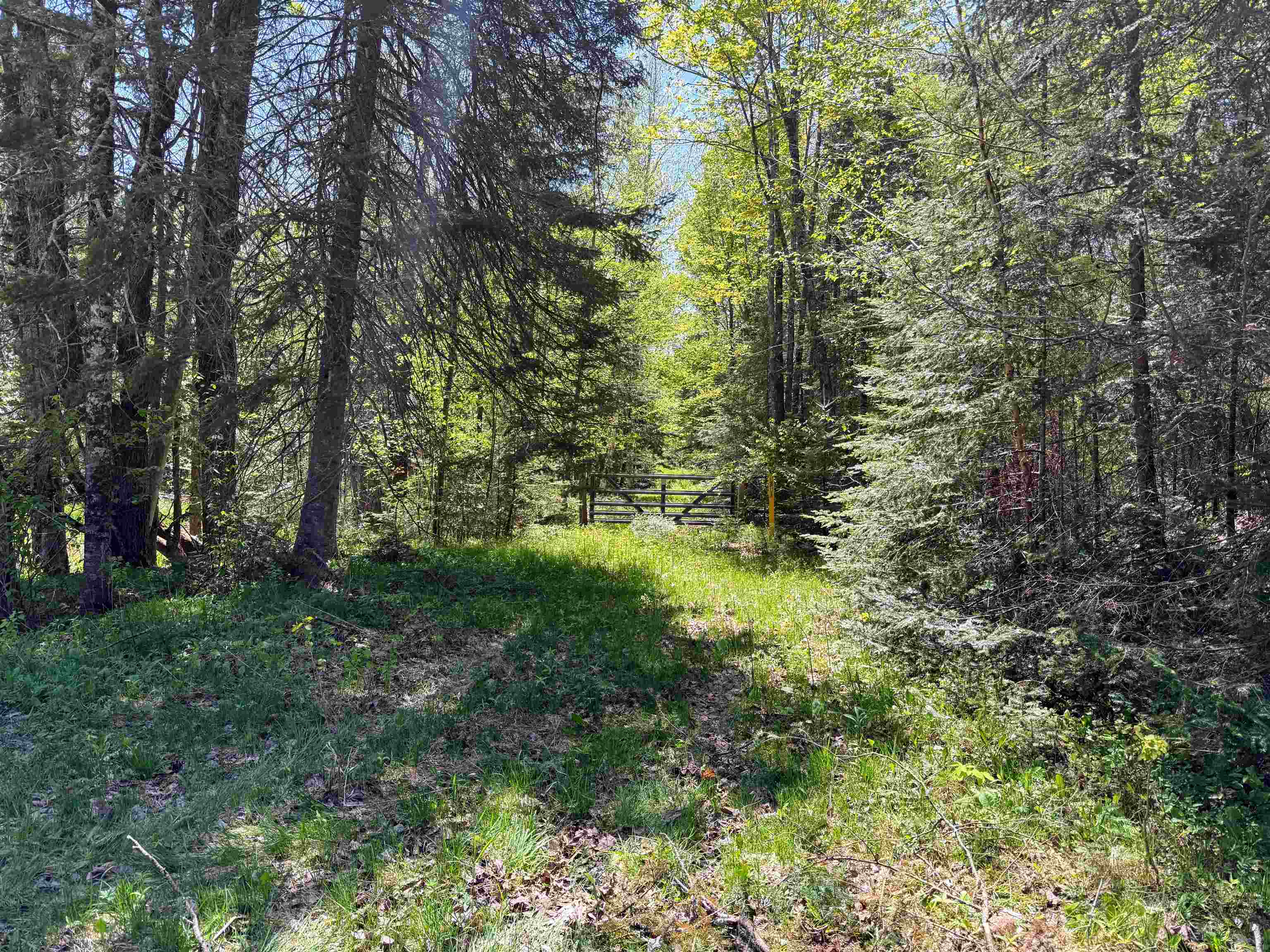 16340 N STATE HIGHWAY 13, Park Falls, Wisconsin 54552, 3 Bedrooms Bedrooms, ,1 BathroomBathrooms,Residential,For Sale,16340 N STATE HIGHWAY 13,22602302