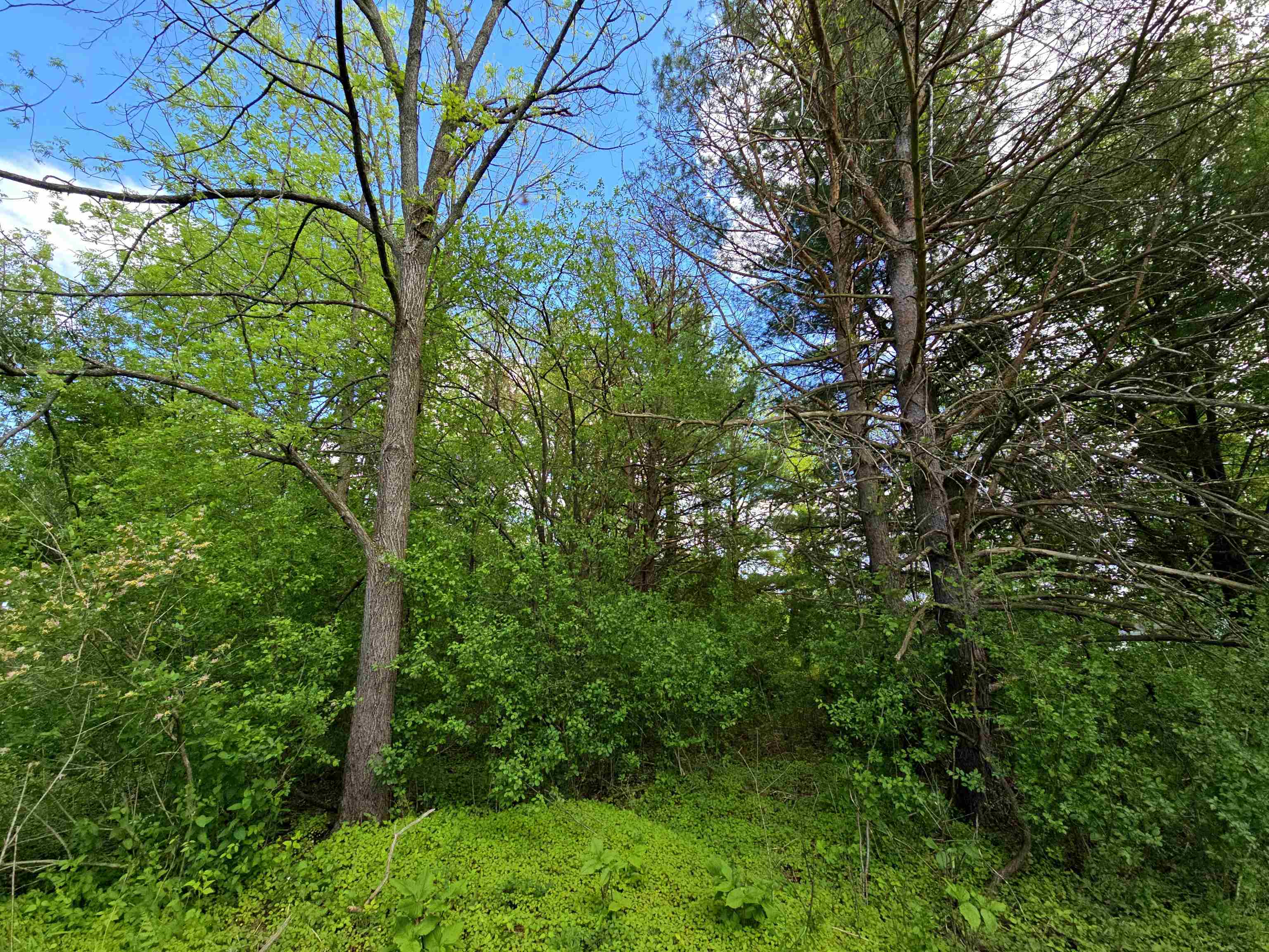 4918 MEADOW LANE, Vesper, Wisconsin 54489-9433, 3 Bedrooms Bedrooms, ,2 BathroomsBathrooms,Residential,For Sale,4918 MEADOW LANE,22602305