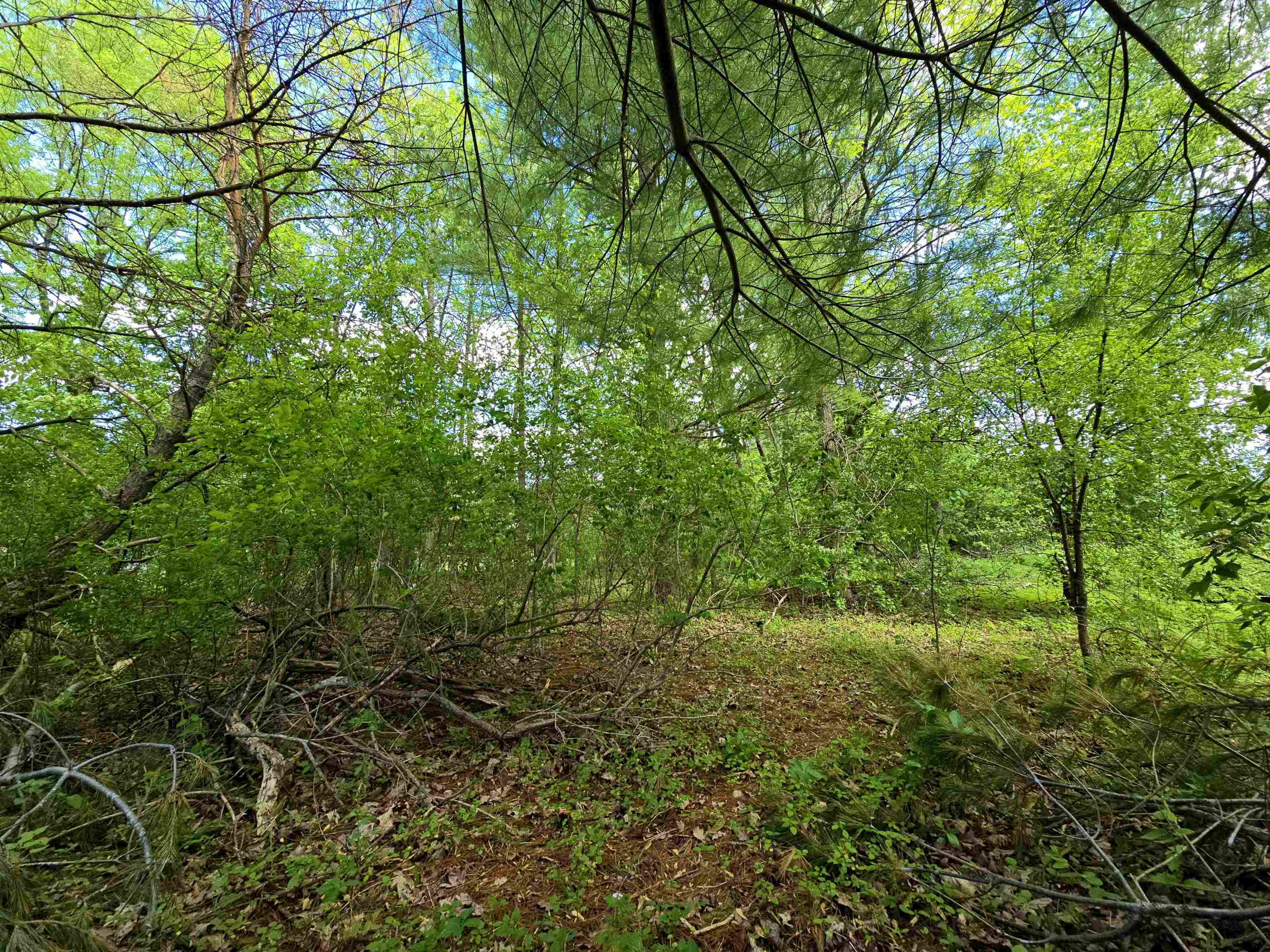 4918 MEADOW LANE, Vesper, Wisconsin 54489-9433, 3 Bedrooms Bedrooms, ,2 BathroomsBathrooms,Residential,For Sale,4918 MEADOW LANE,22602305