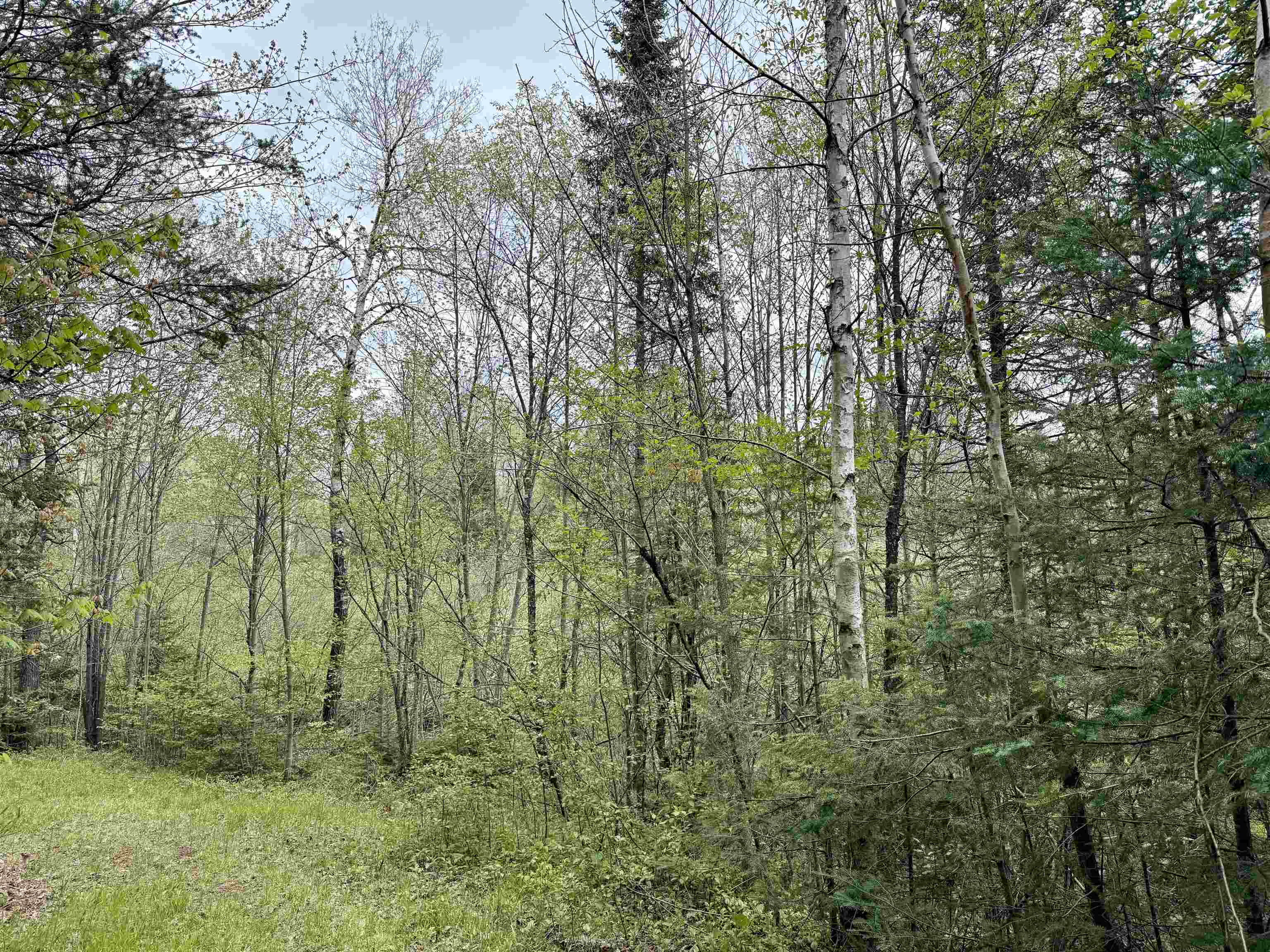 000 GARVIN PLACE, Brantwood, Wisconsin 54564, ,Land,For Sale,000 GARVIN PLACE,22602336