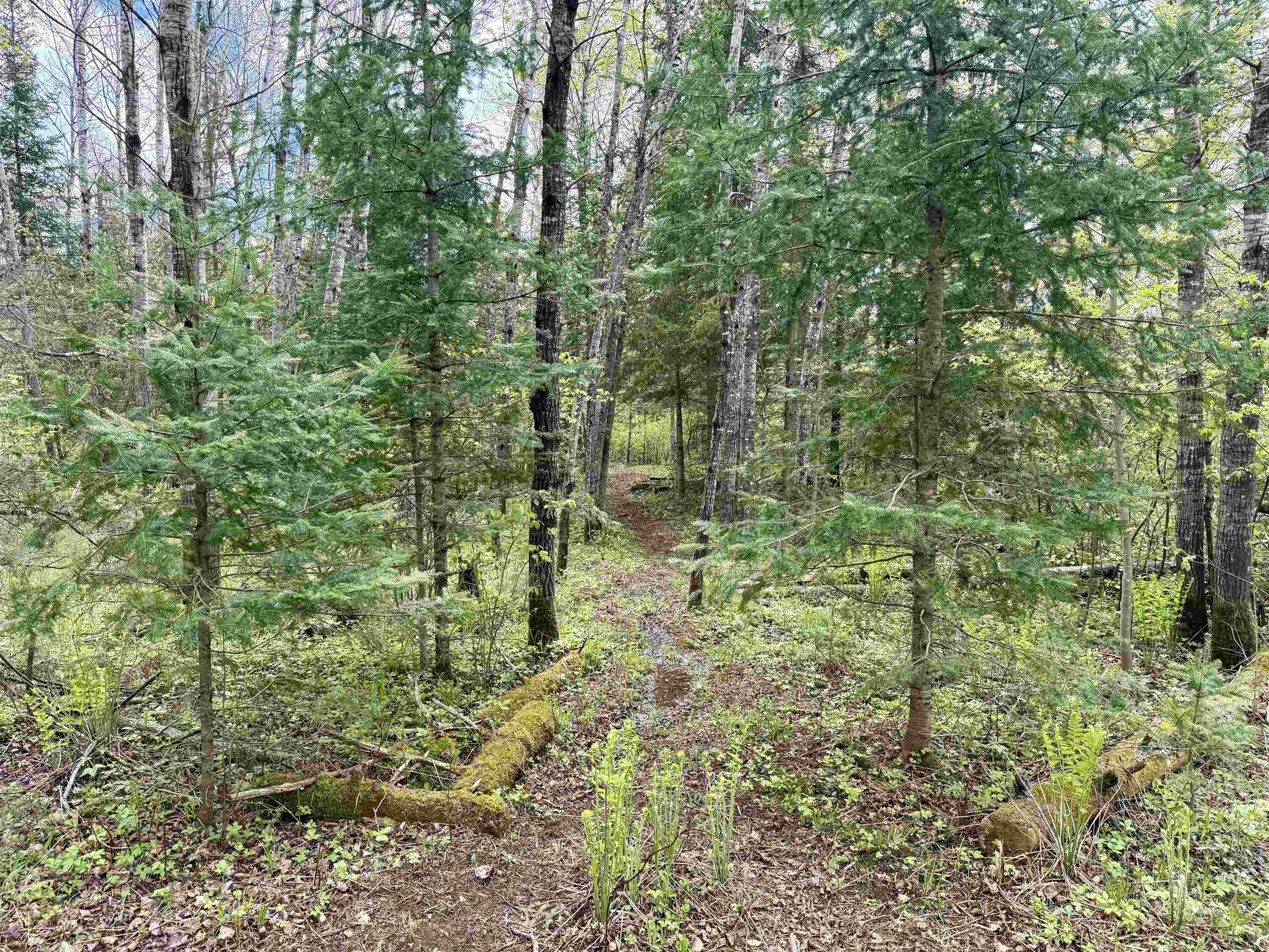 000 GARVIN PLACE, Brantwood, Wisconsin 54564, ,Land,For Sale,000 GARVIN PLACE,22602336