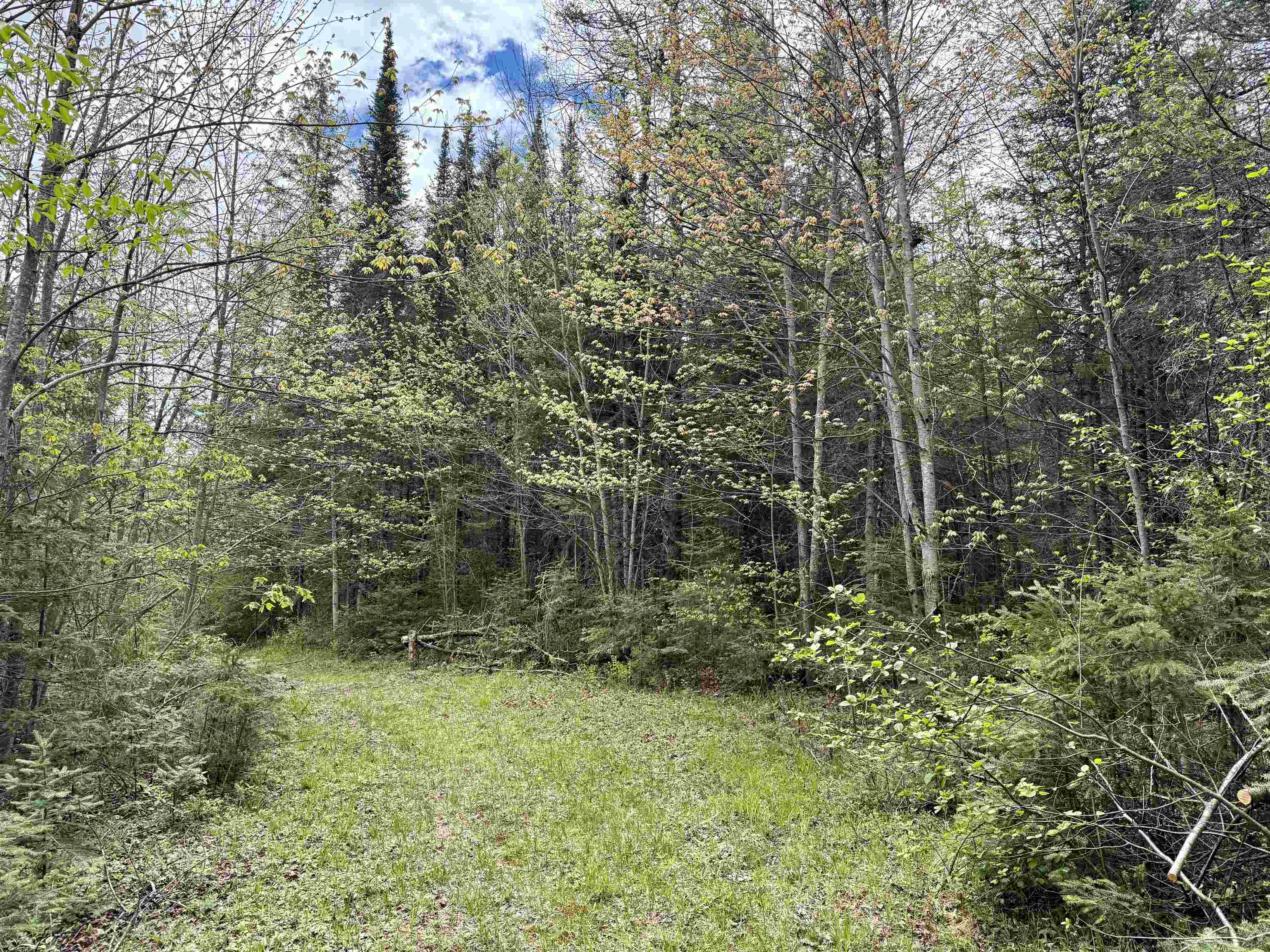 000 GARVIN PLACE, Brantwood, Wisconsin 54564, ,Land,For Sale,000 GARVIN PLACE,22602336