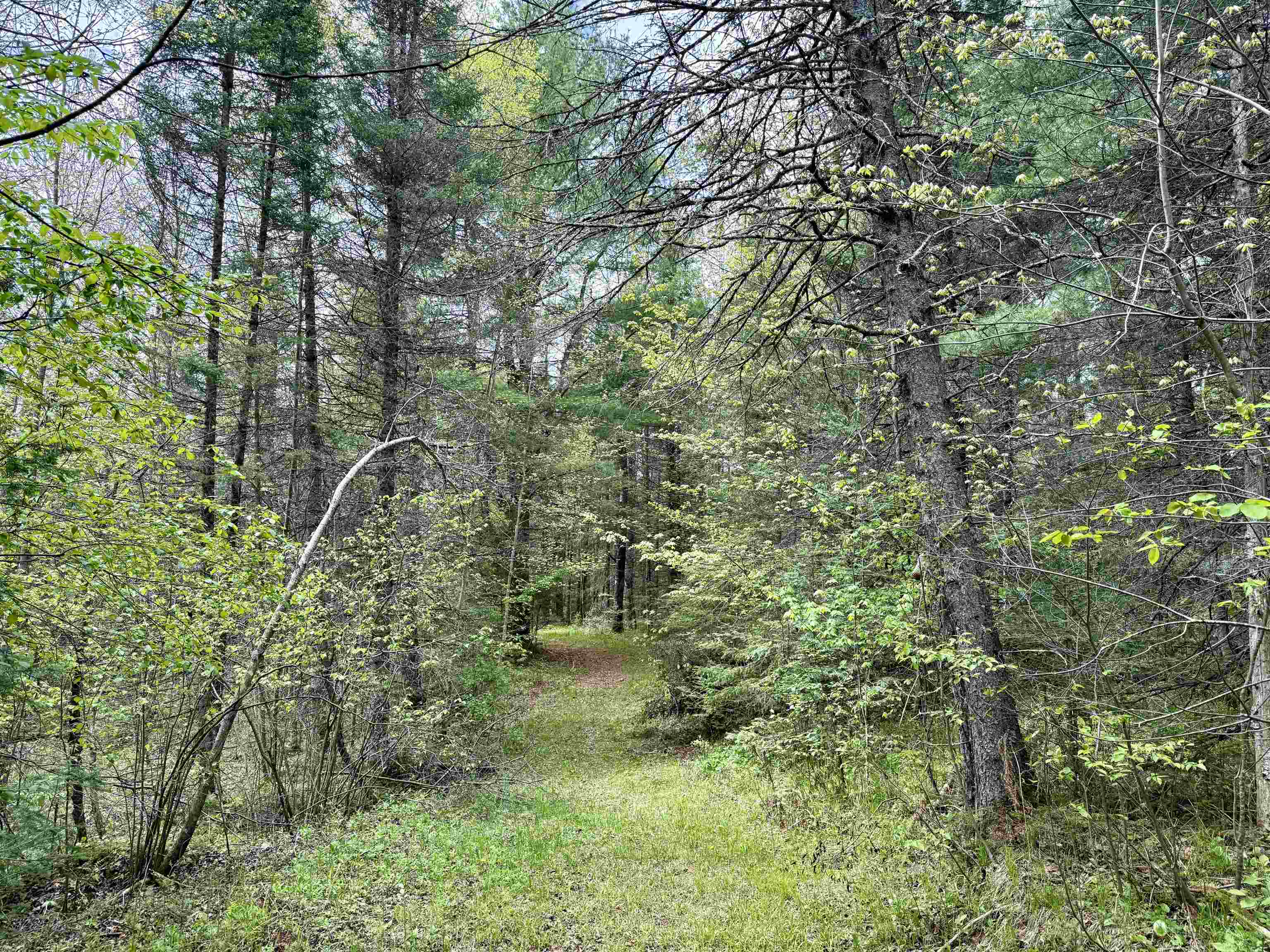 000 GARVIN PLACE, Brantwood, Wisconsin 54564, ,Land,For Sale,000 GARVIN PLACE,22602336