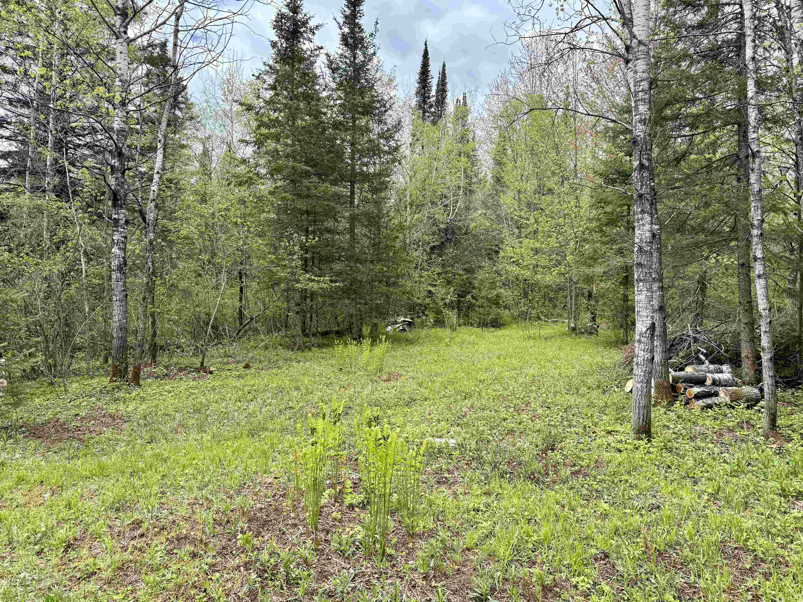 000 GARVIN PLACE, Brantwood, Wisconsin 54564, ,Land,For Sale,000 GARVIN PLACE,22602336