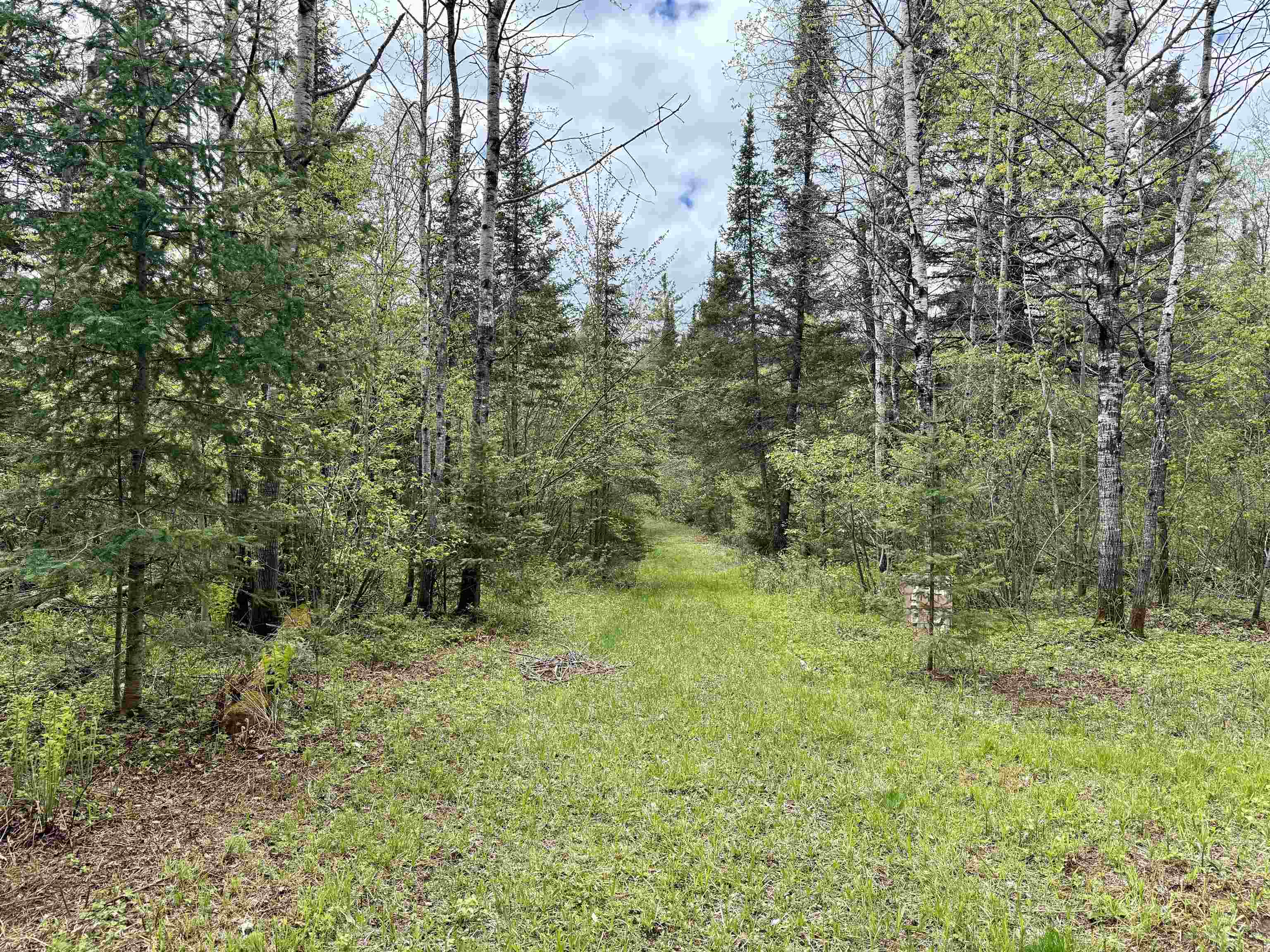 000 GARVIN PLACE, Brantwood, Wisconsin 54564, ,Land,For Sale,000 GARVIN PLACE,22602336