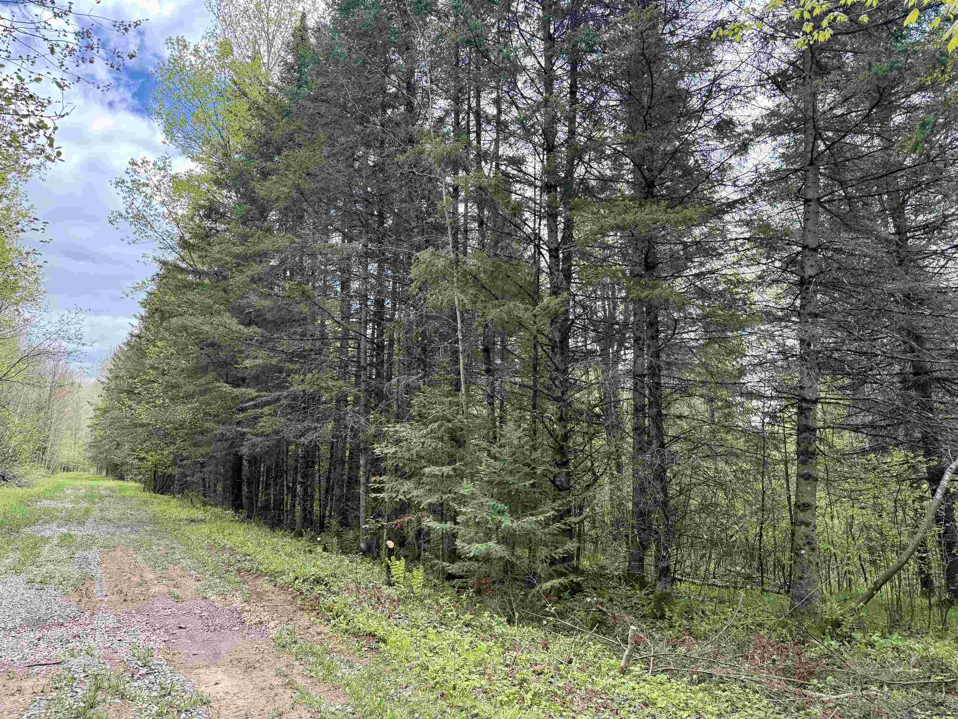 000 GARVIN PLACE, Brantwood, Wisconsin 54564, ,Land,For Sale,000 GARVIN PLACE,22602336
