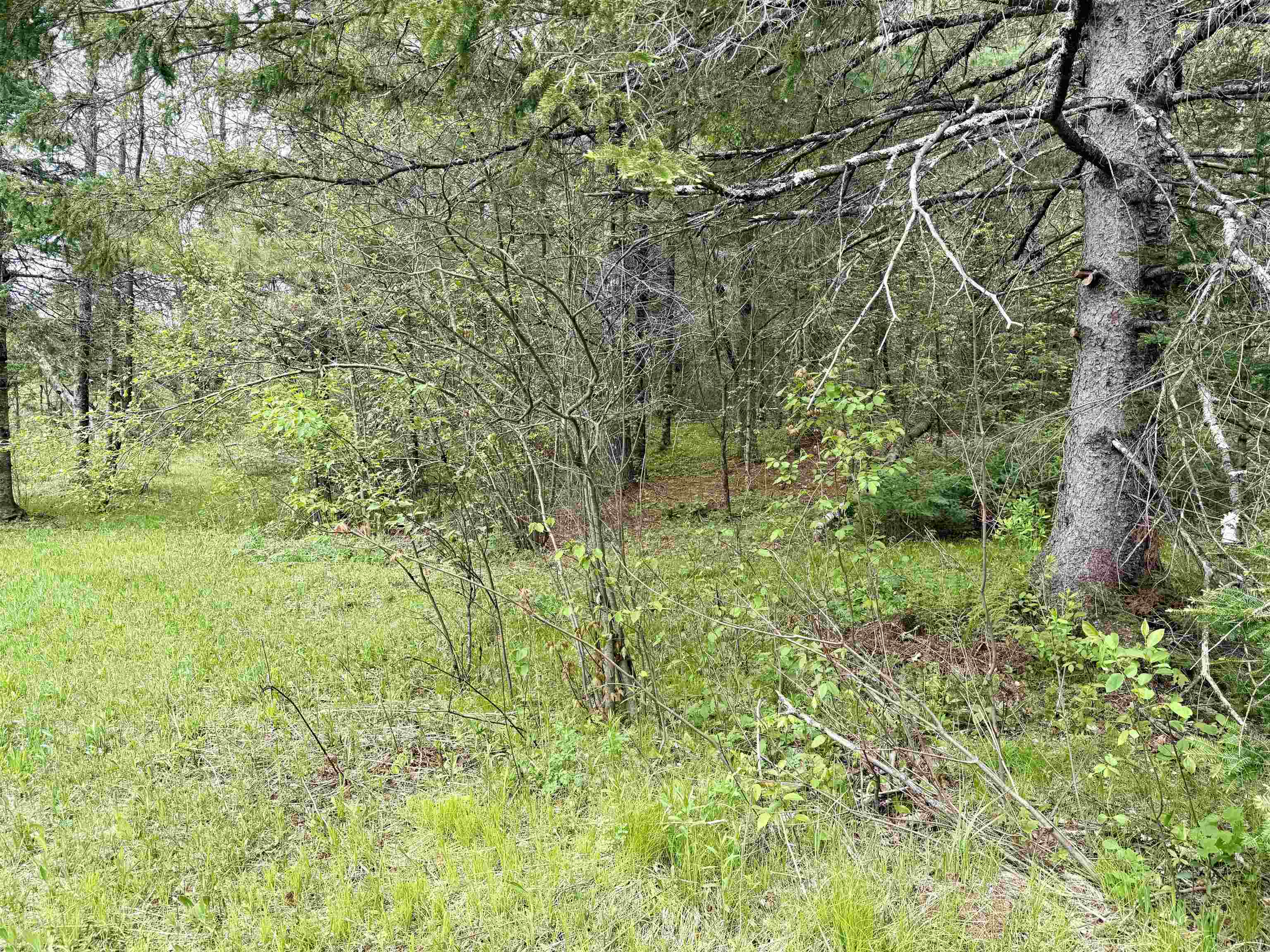 000 GARVIN PLACE, Brantwood, Wisconsin 54564, ,Land,For Sale,000 GARVIN PLACE,22602336