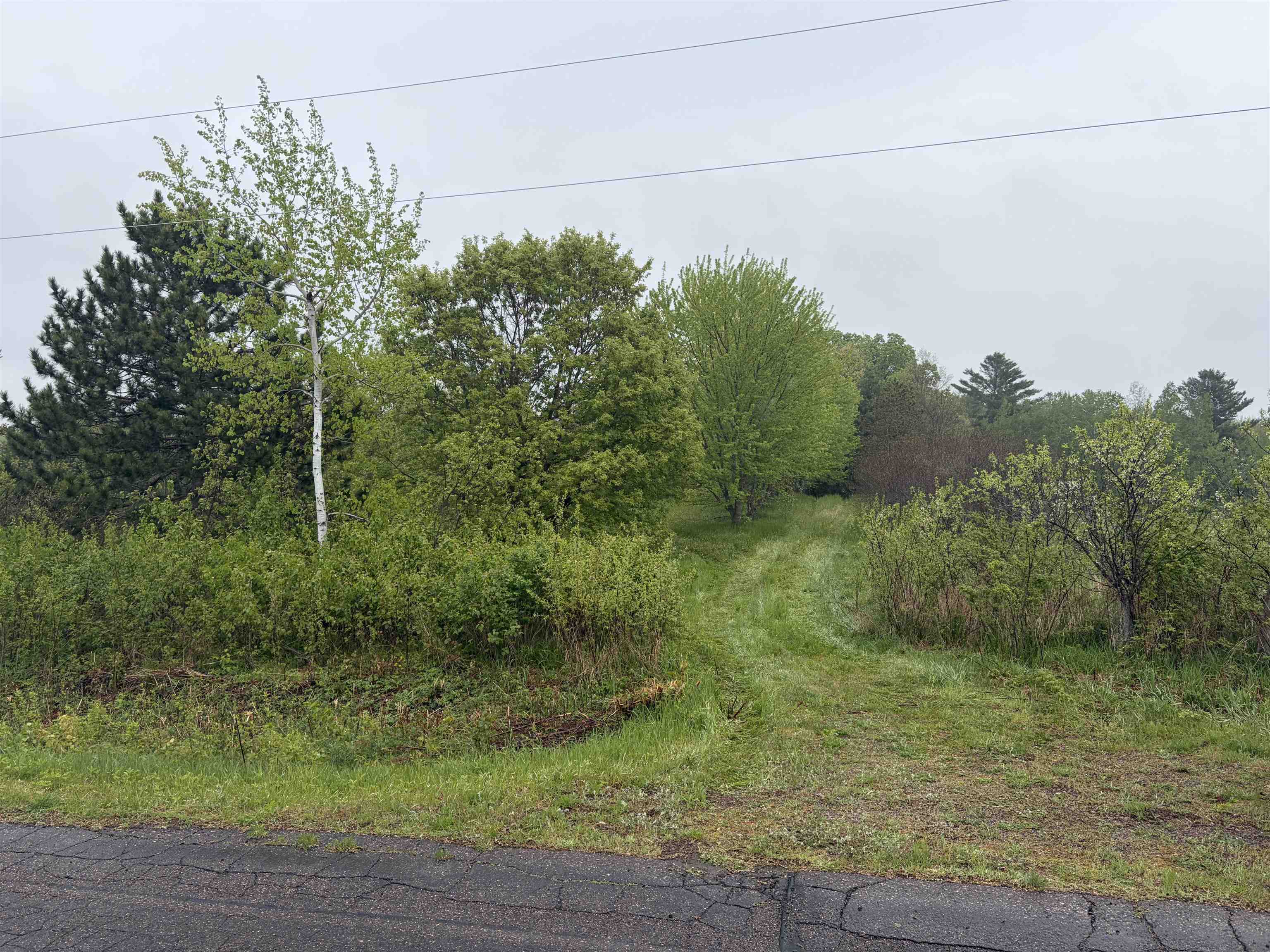 5755 350TH STREET, Stanley, Wisconsin 54768, ,Land,For Sale,5755 350TH STREET,22602344