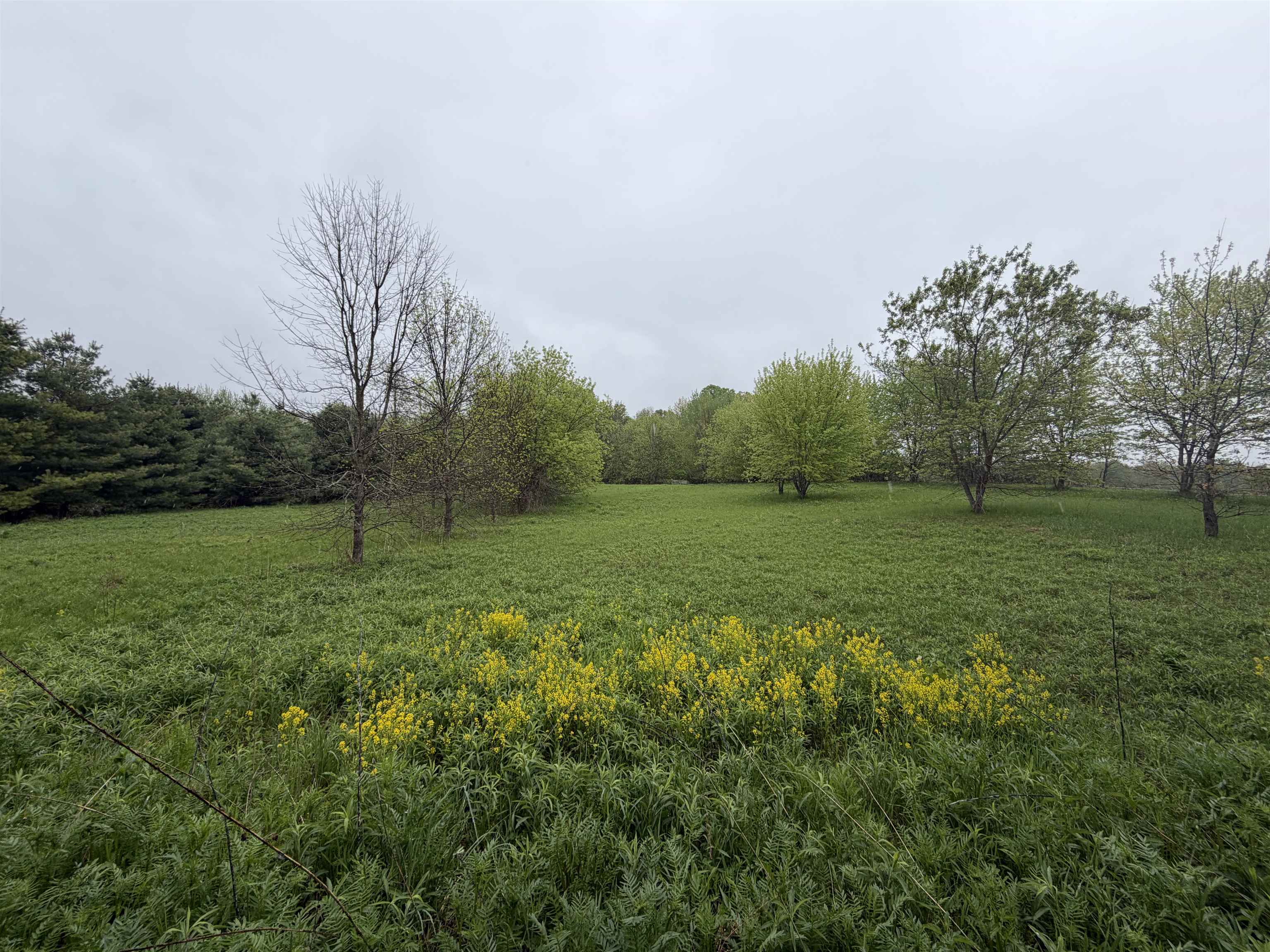 5755 350TH STREET, Stanley, Wisconsin 54768, ,Land,For Sale,5755 350TH STREET,22602344