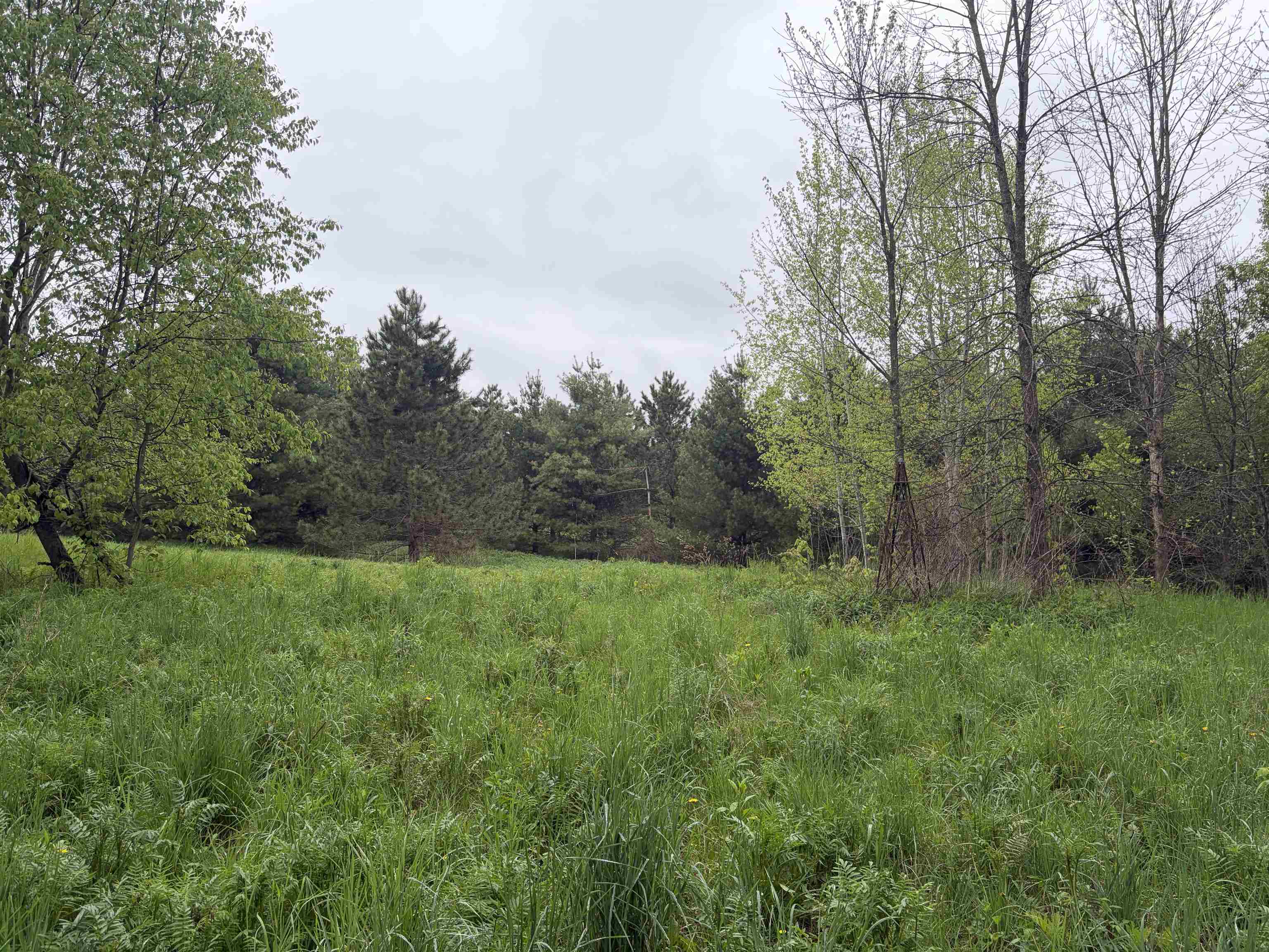 5755 350TH STREET, Stanley, Wisconsin 54768, ,Land,For Sale,5755 350TH STREET,22602344