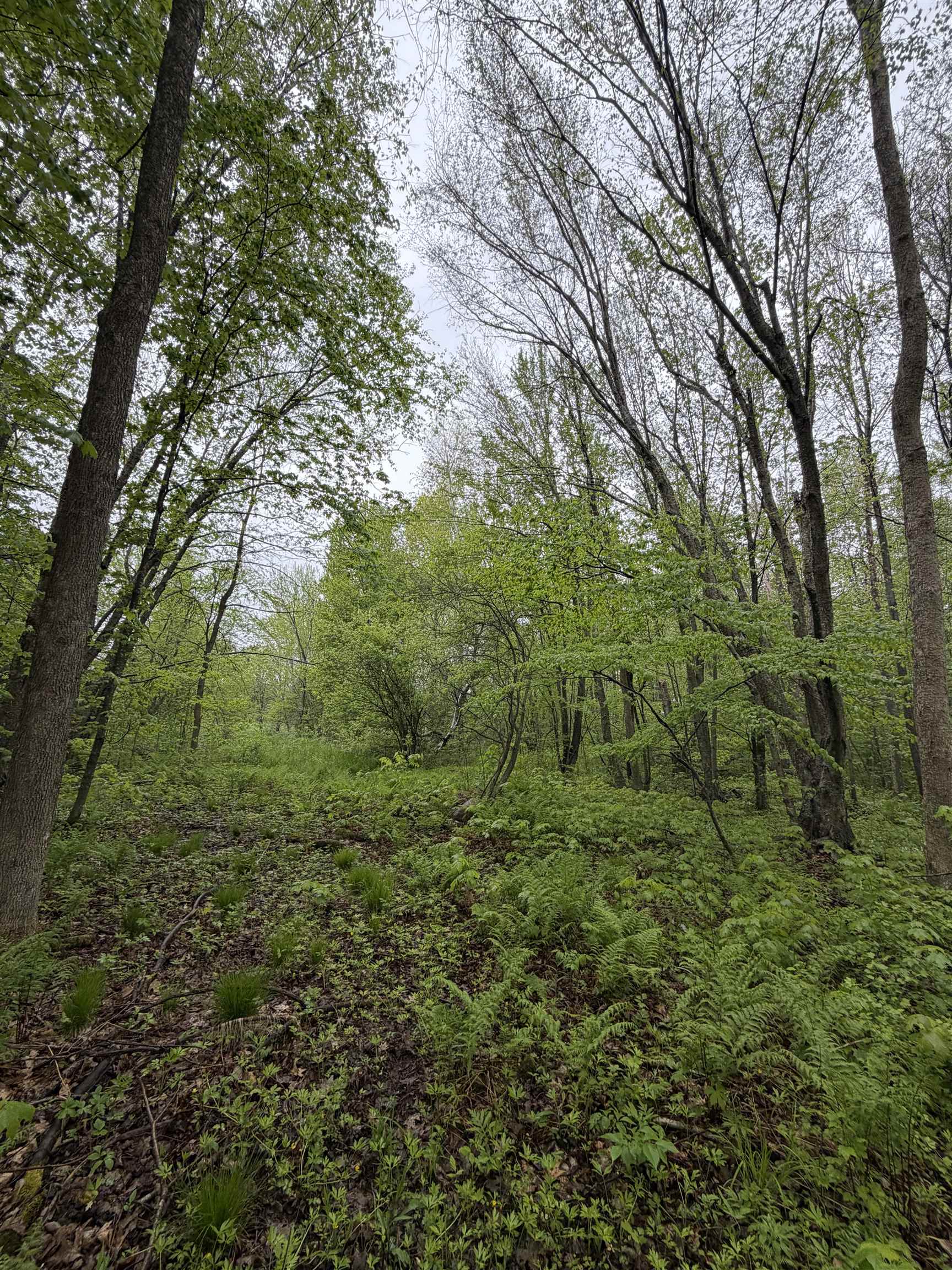 5755 350TH STREET, Stanley, Wisconsin 54768, ,Land,For Sale,5755 350TH STREET,22602344