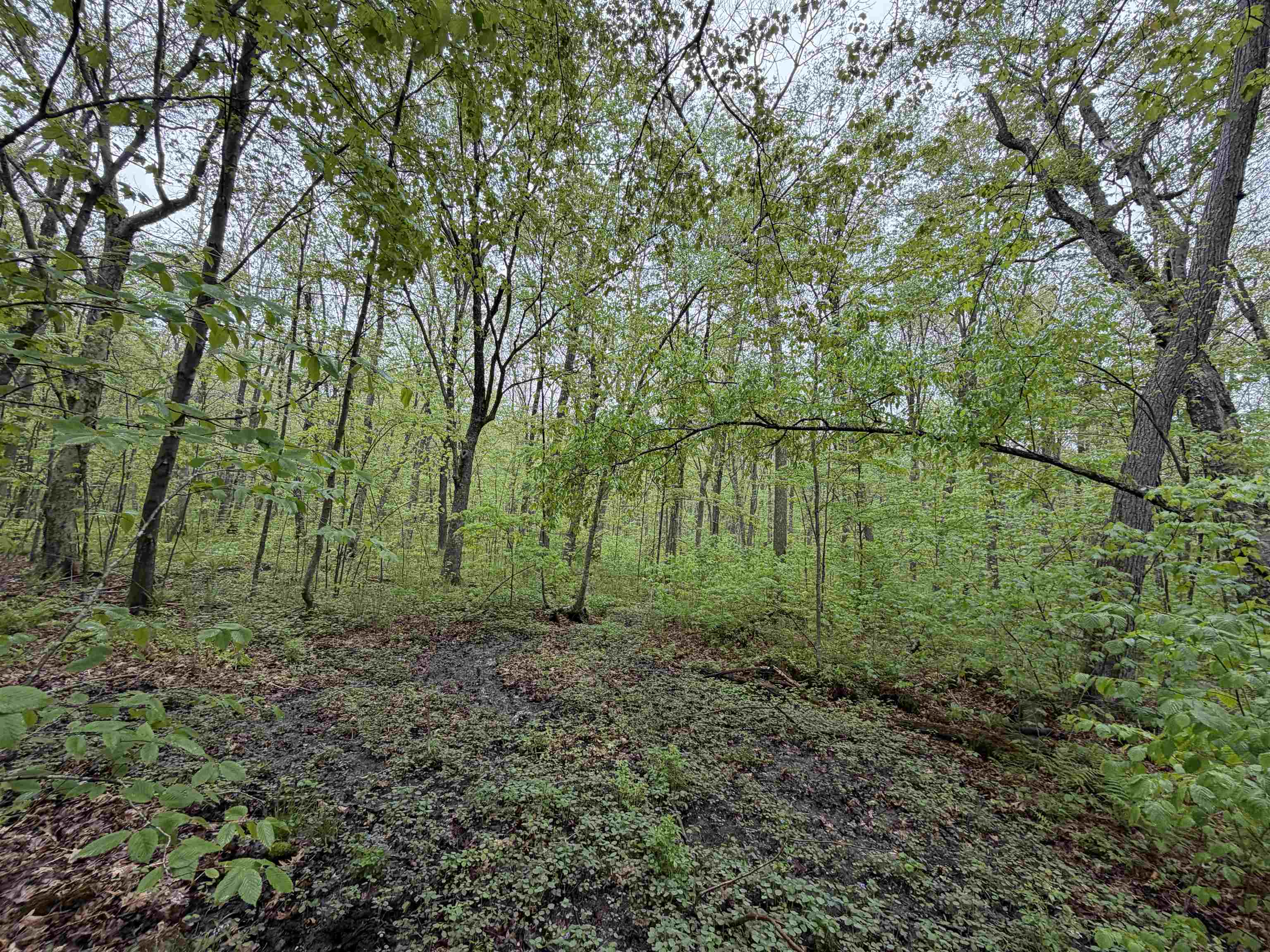 5755 350TH STREET, Stanley, Wisconsin 54768, ,Land,For Sale,5755 350TH STREET,22602344