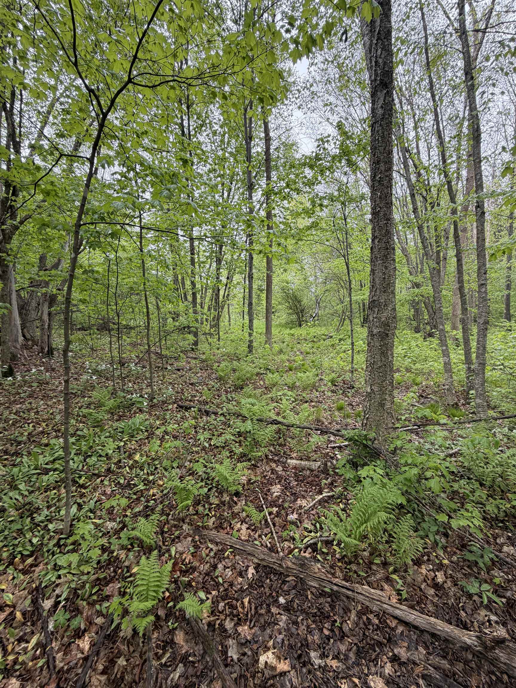 5755 350TH STREET, Stanley, Wisconsin 54768, ,Land,For Sale,5755 350TH STREET,22602344