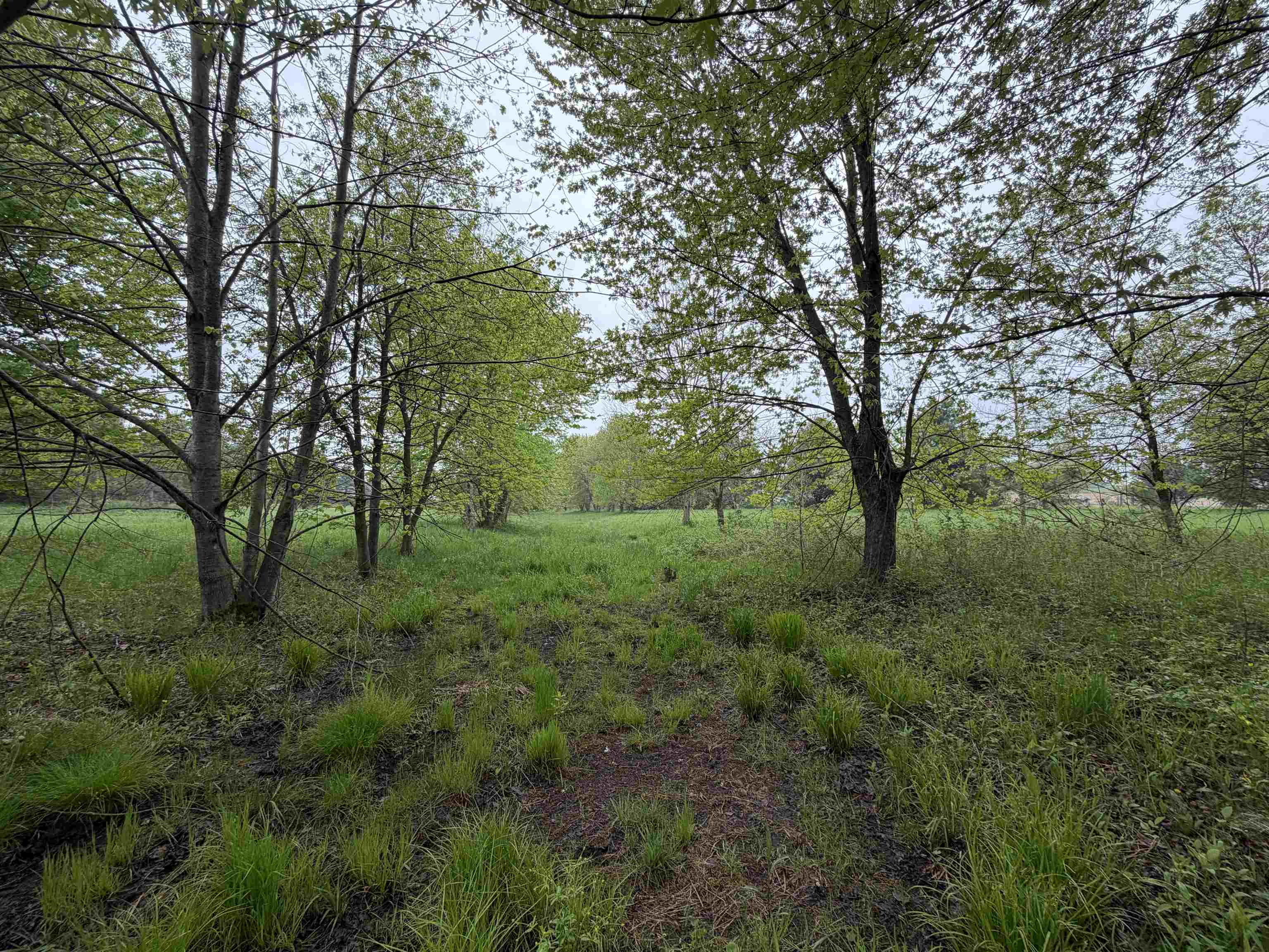 5755 350TH STREET, Stanley, Wisconsin 54768, ,Land,For Sale,5755 350TH STREET,22602344