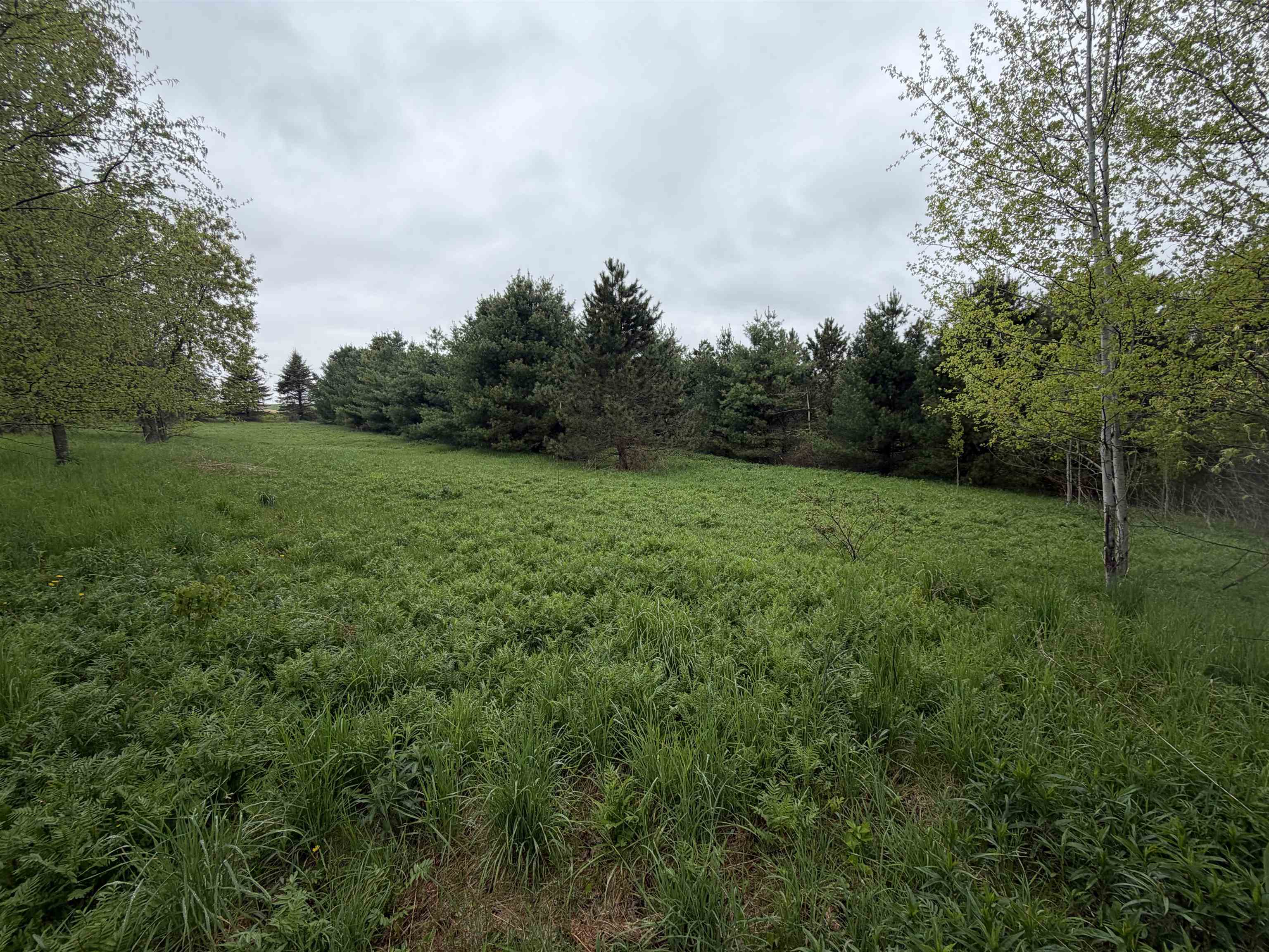 5755 350TH STREET, Stanley, Wisconsin 54768, ,Land,For Sale,5755 350TH STREET,22602344