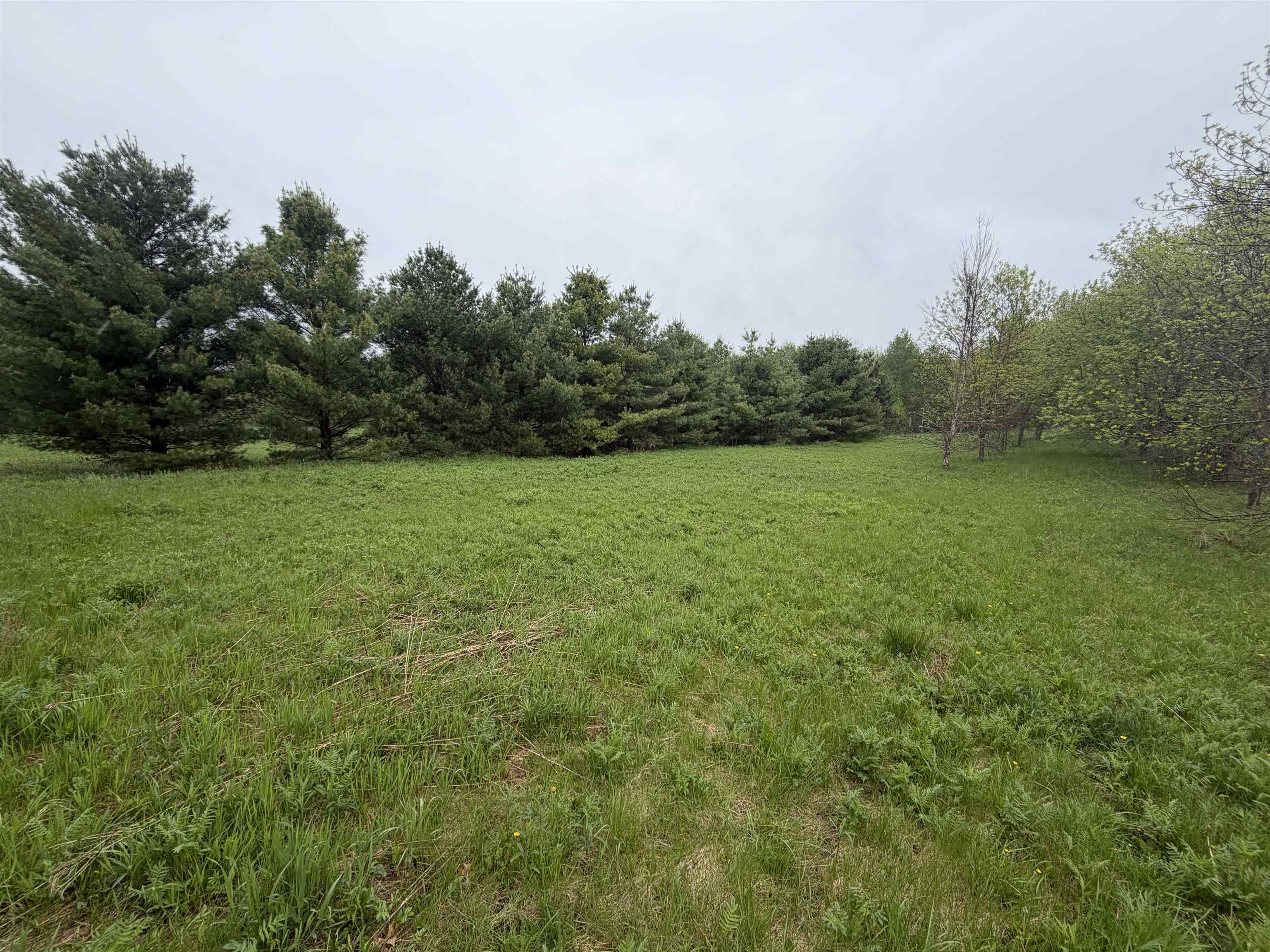 5755 350TH STREET, Stanley, Wisconsin 54768, ,Land,For Sale,5755 350TH STREET,22602344