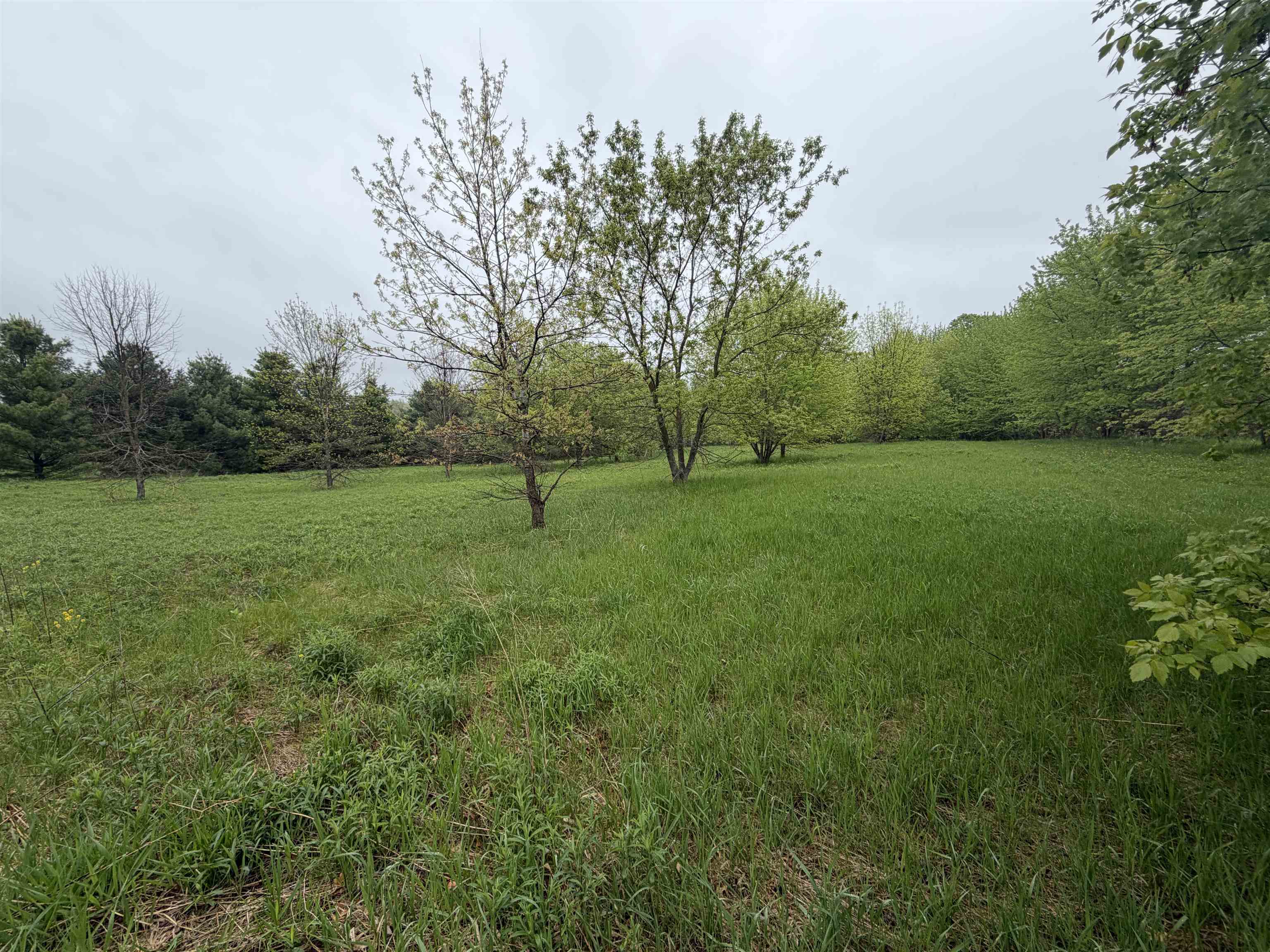 5755 350TH STREET, Stanley, Wisconsin 54768, ,Land,For Sale,5755 350TH STREET,22602344