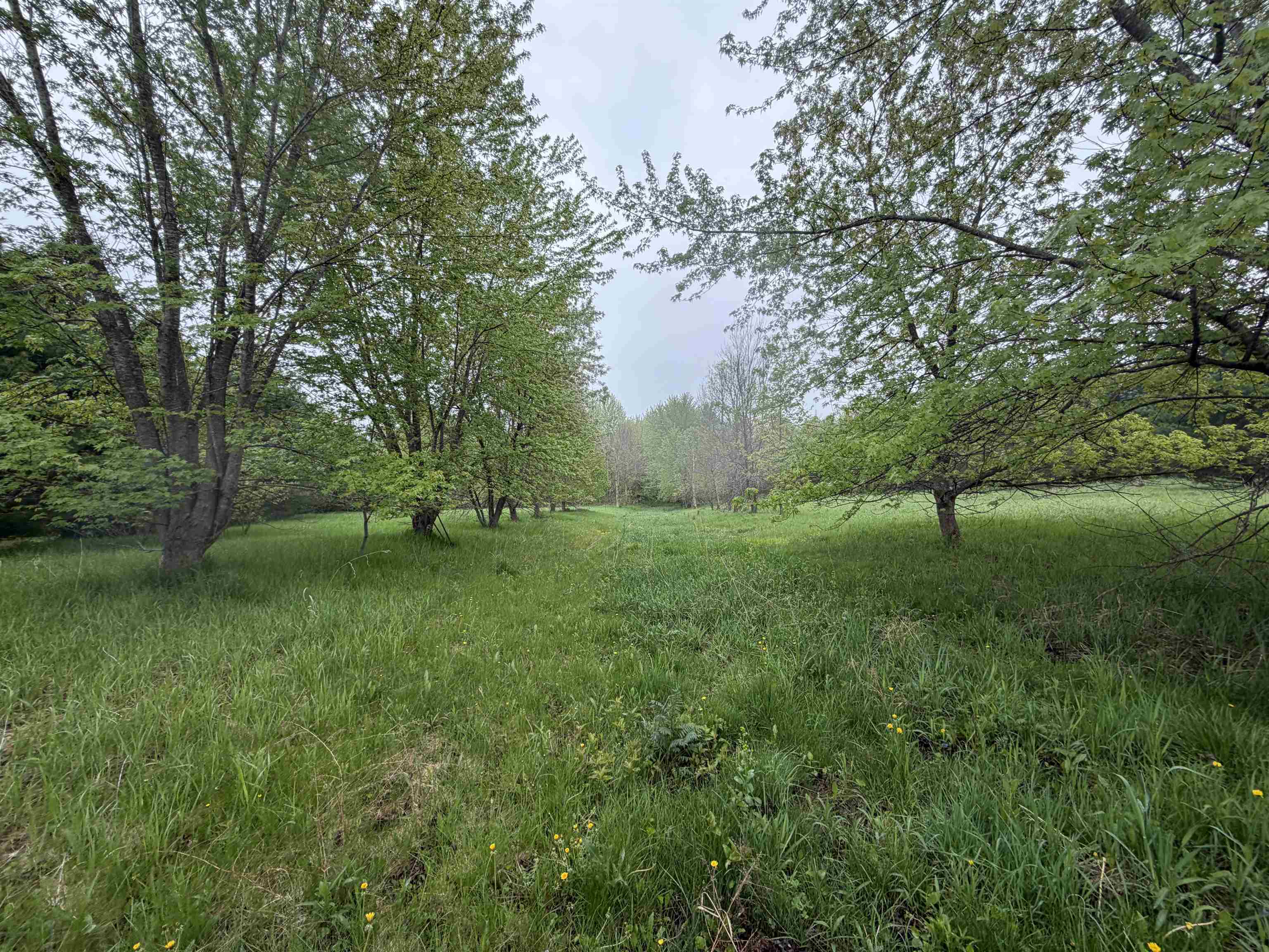 5755 350TH STREET, Stanley, Wisconsin 54768, ,Land,For Sale,5755 350TH STREET,22602344