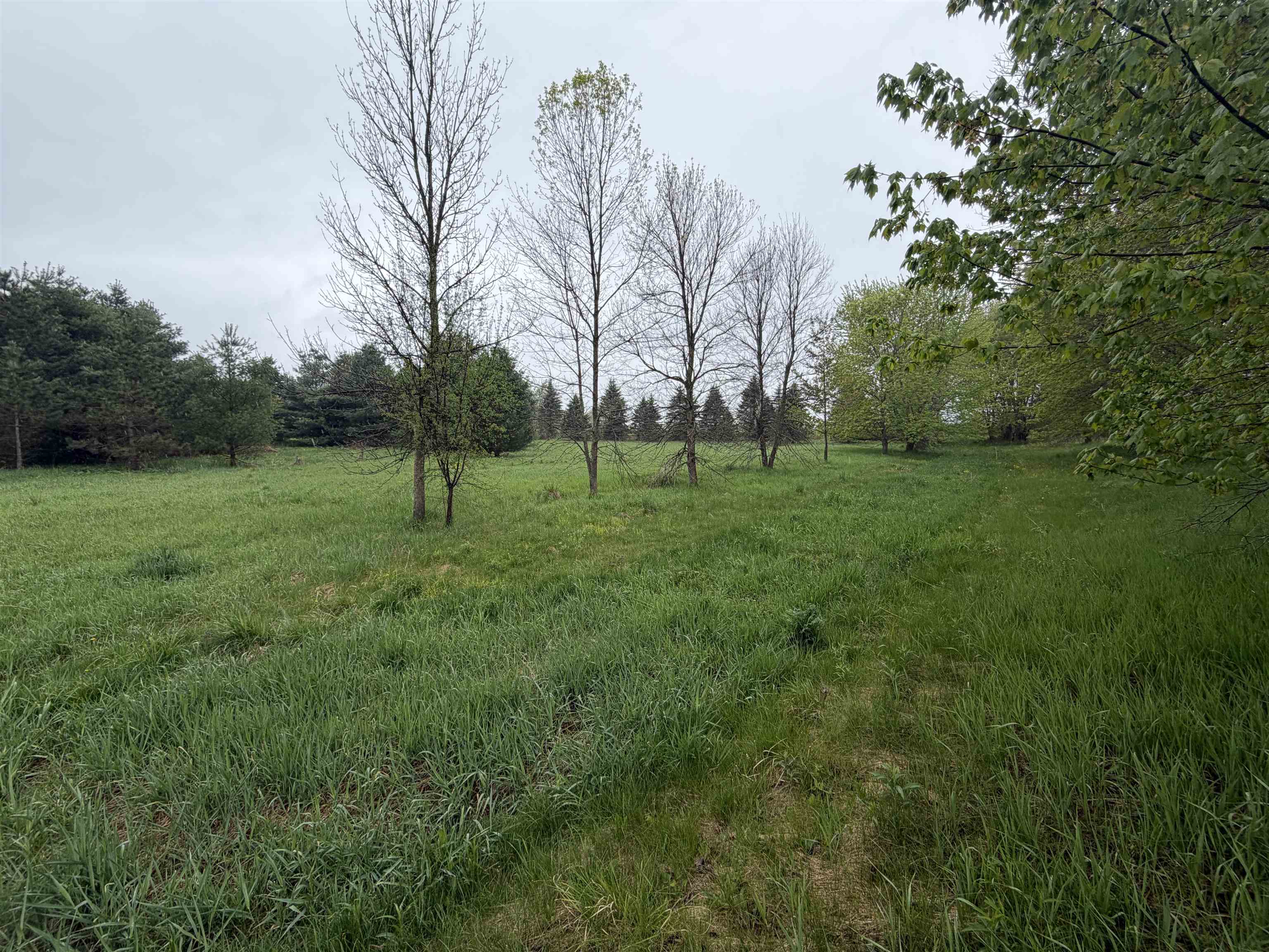 5755 350TH STREET, Stanley, Wisconsin 54768, ,Land,For Sale,5755 350TH STREET,22602344