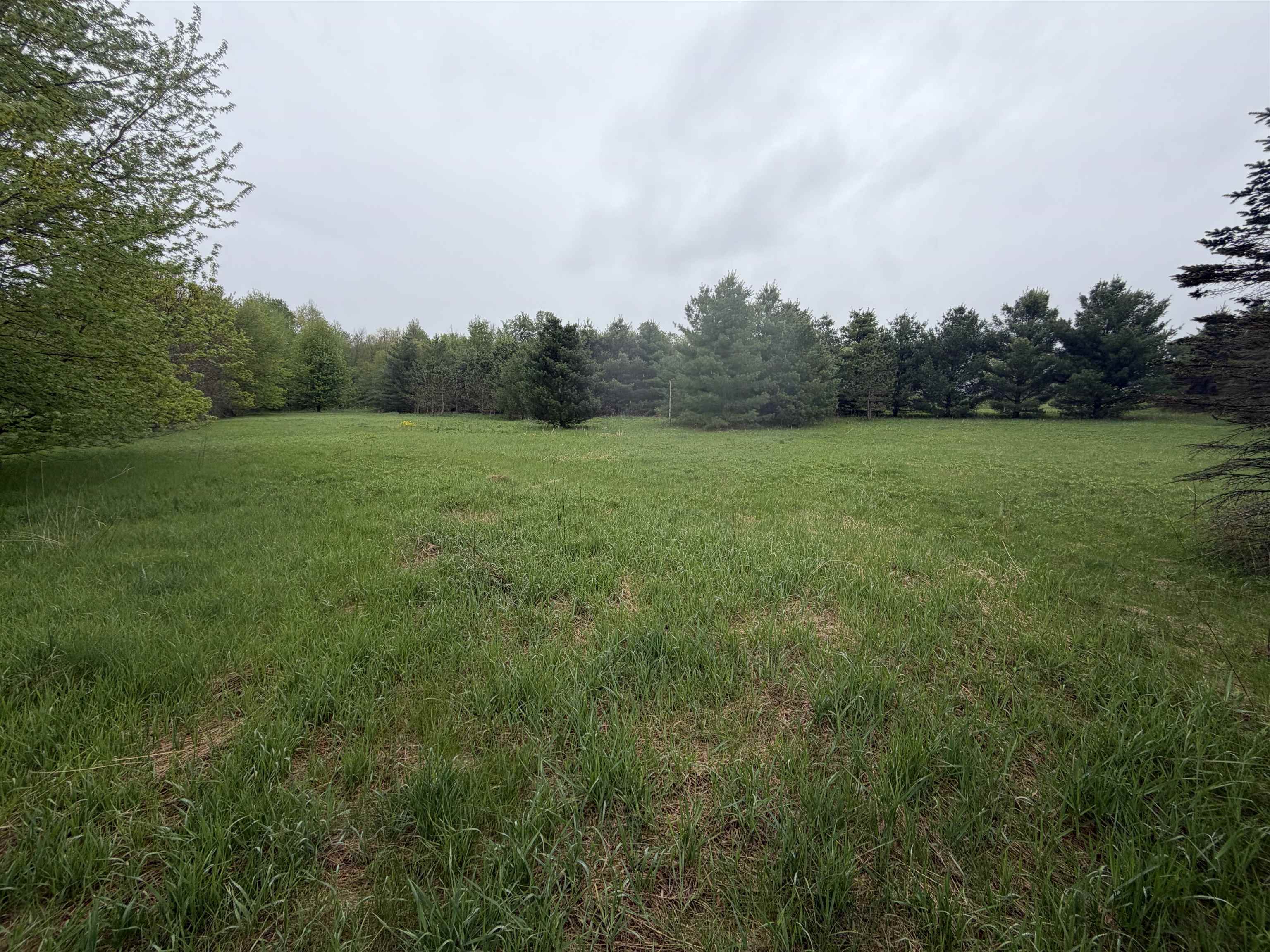 5755 350TH STREET, Stanley, Wisconsin 54768, ,Land,For Sale,5755 350TH STREET,22602344