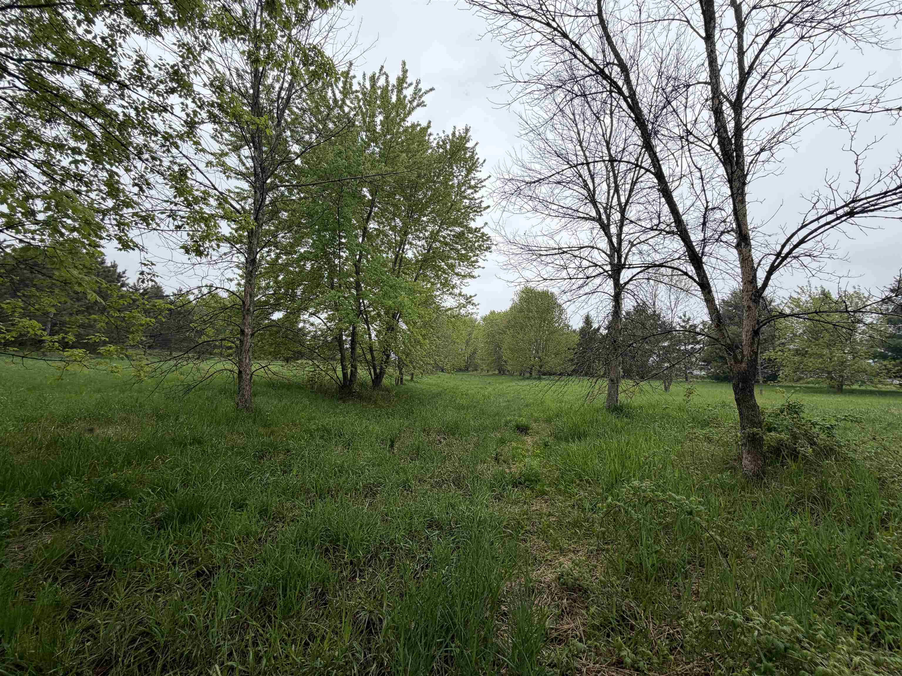 5755 350TH STREET, Stanley, Wisconsin 54768, ,Land,For Sale,5755 350TH STREET,22602344