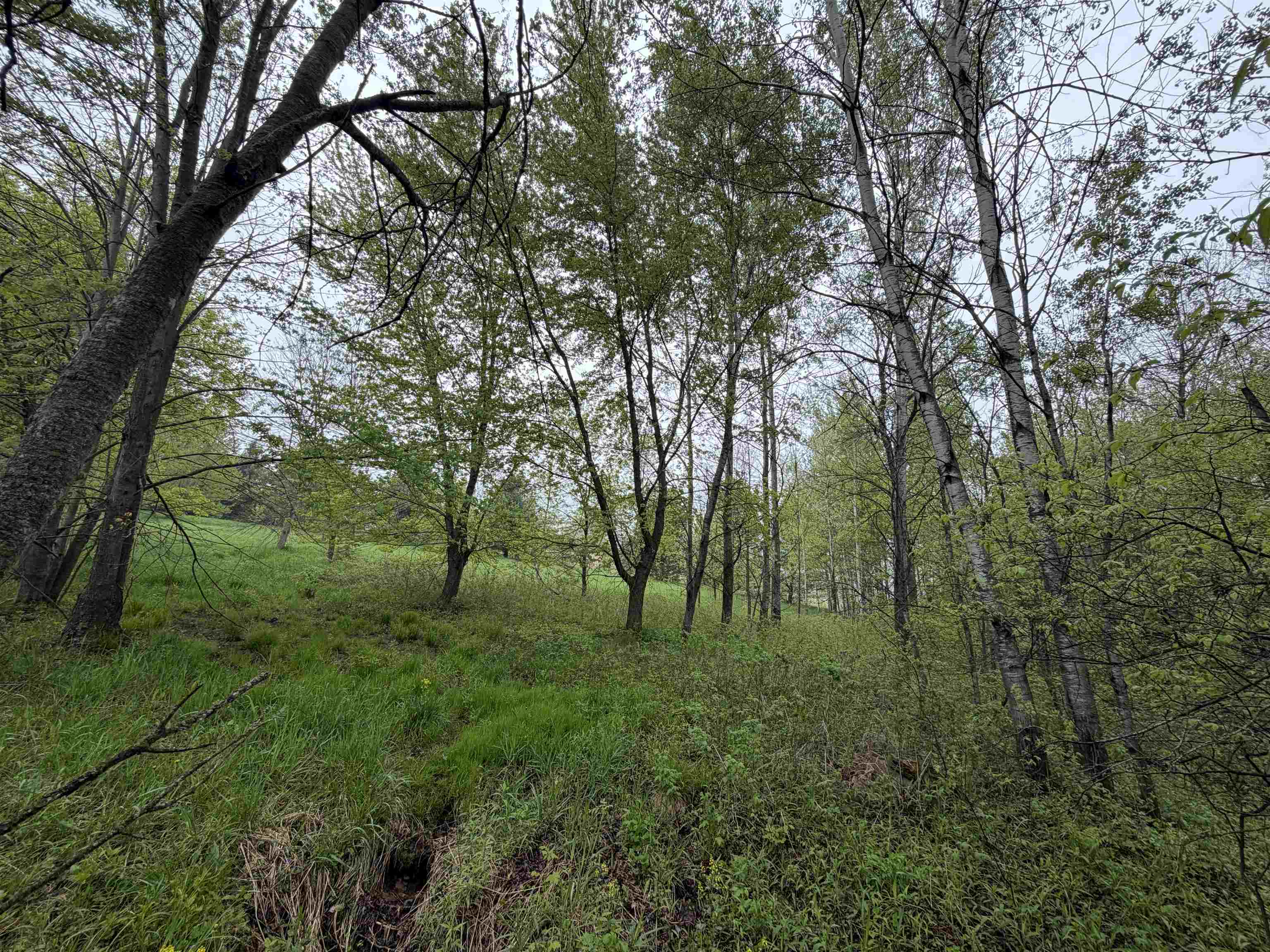 5755 350TH STREET, Stanley, Wisconsin 54768, ,Land,For Sale,5755 350TH STREET,22602344