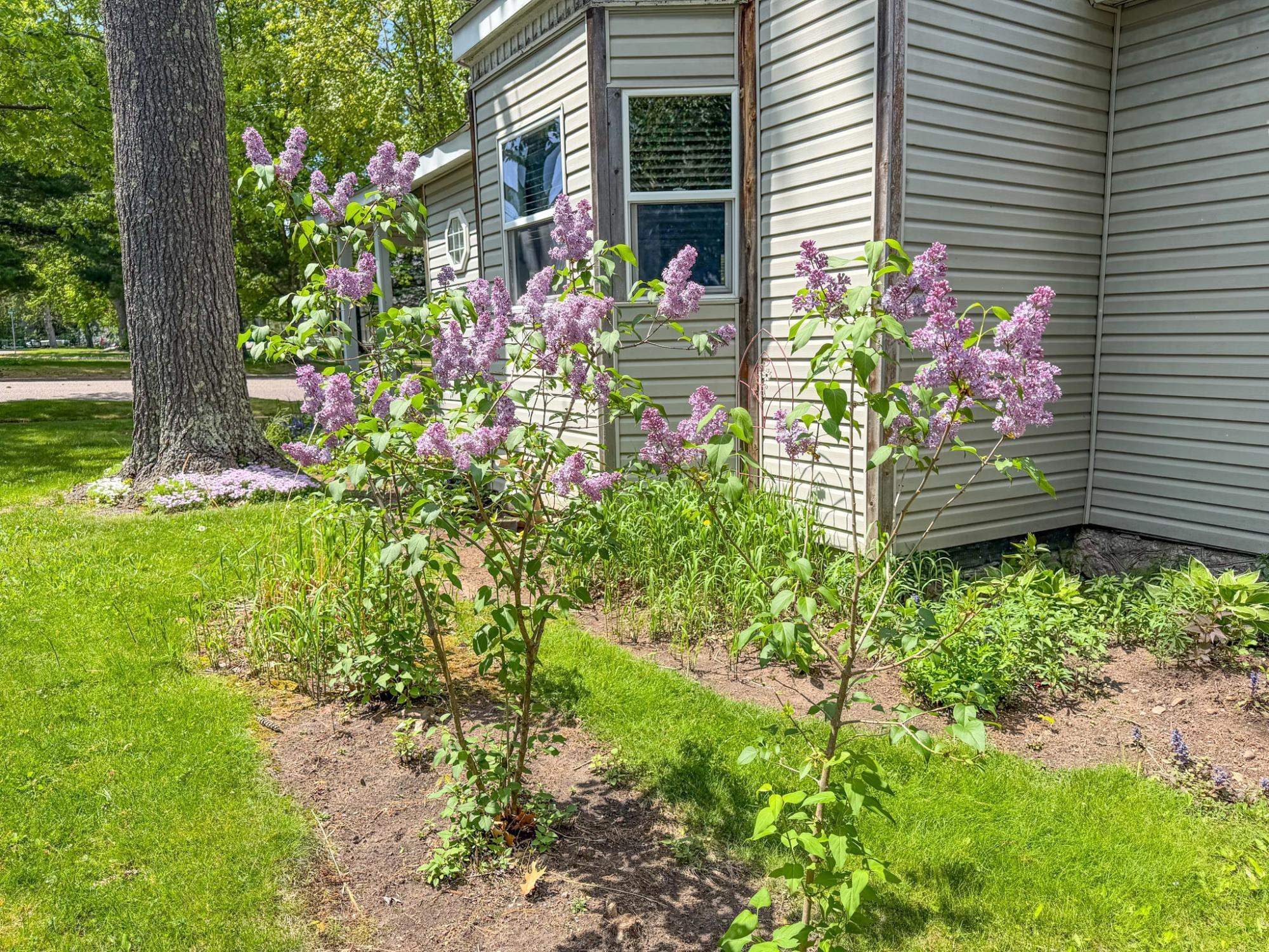 355 N AVON AVENUE, Phillips, Wisconsin 54555, 3 Bedrooms Bedrooms, ,1 BathroomBathrooms,Residential,For Sale,355 N AVON AVENUE,22602349