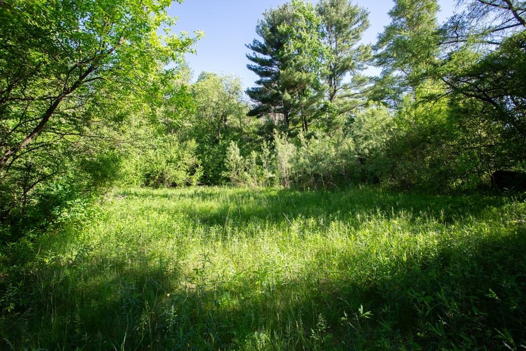 0.63 Acres S CENTER STREET, Fairchild, Wisconsin 54741, ,Land,For Sale,0.63 Acres S CENTER STREET,22602363