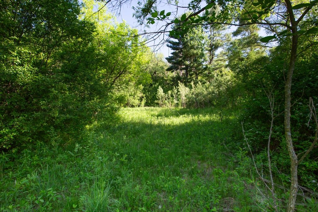 0.63 Acres S CENTER STREET, Fairchild, Wisconsin 54741, ,Land,For Sale,0.63 Acres S CENTER STREET,22602363