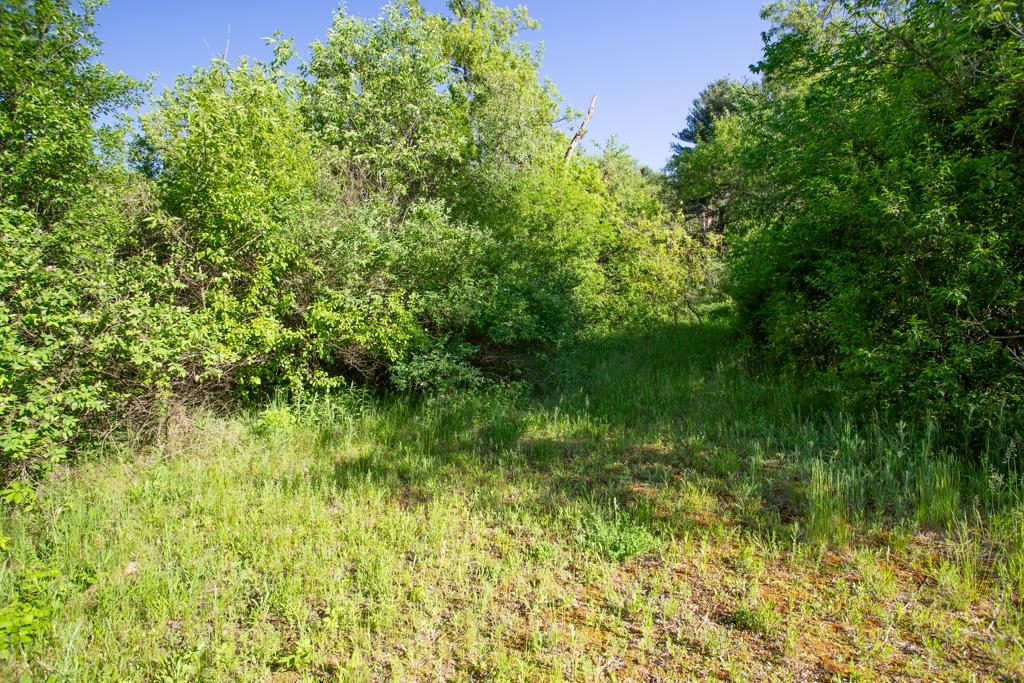 0.63 Acres S CENTER STREET, Fairchild, Wisconsin 54741, ,Land,For Sale,0.63 Acres S CENTER STREET,22602363