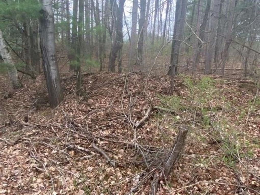 3836 WOODLAND RIDGE ROAD, Wausau, Wisconsin 54403, ,Land,For Sale,3836 WOODLAND RIDGE ROAD,22602372