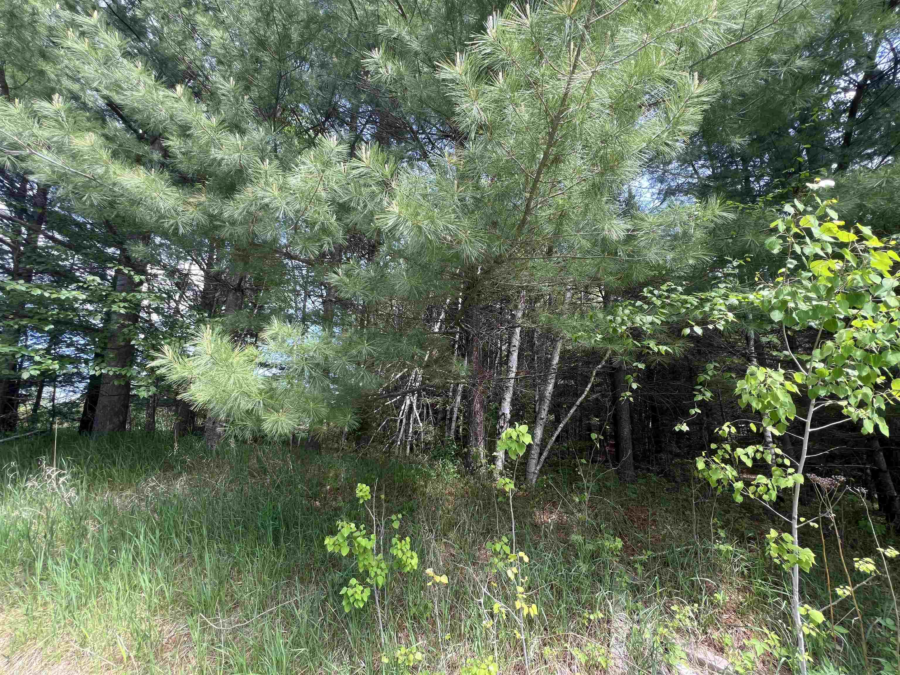 W4396 RUSSELL COURT, Merrill, Wisconsin 54452, ,Land,For Sale,W4396 RUSSELL COURT,22602393