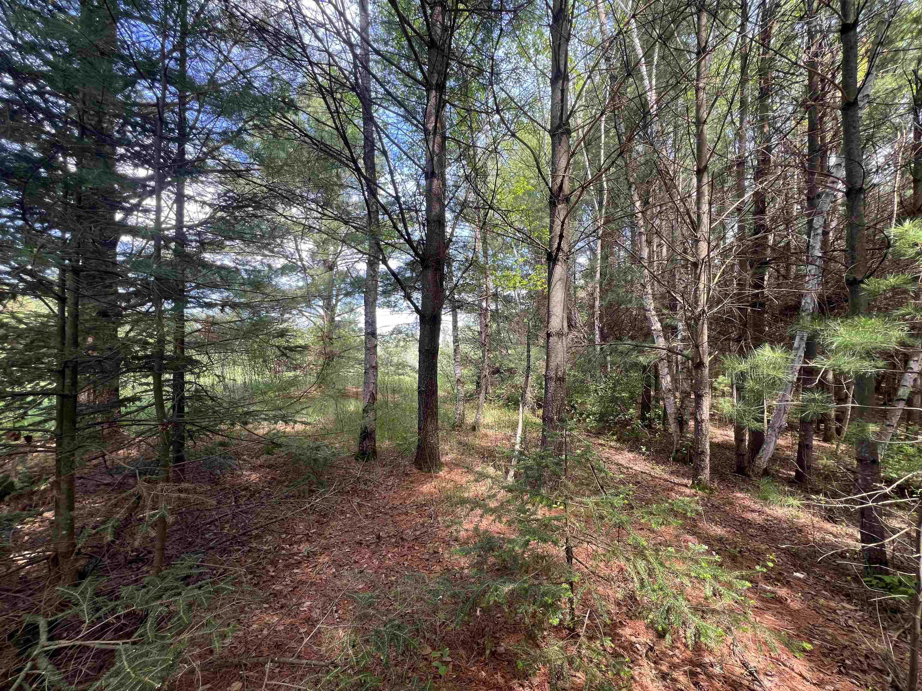 W4396 RUSSELL COURT, Merrill, Wisconsin 54452, ,Land,For Sale,W4396 RUSSELL COURT,22602393